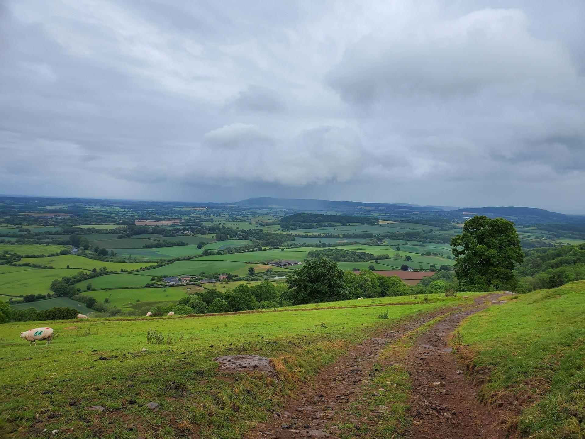 Wye Valley Walk near Dolvach Farm