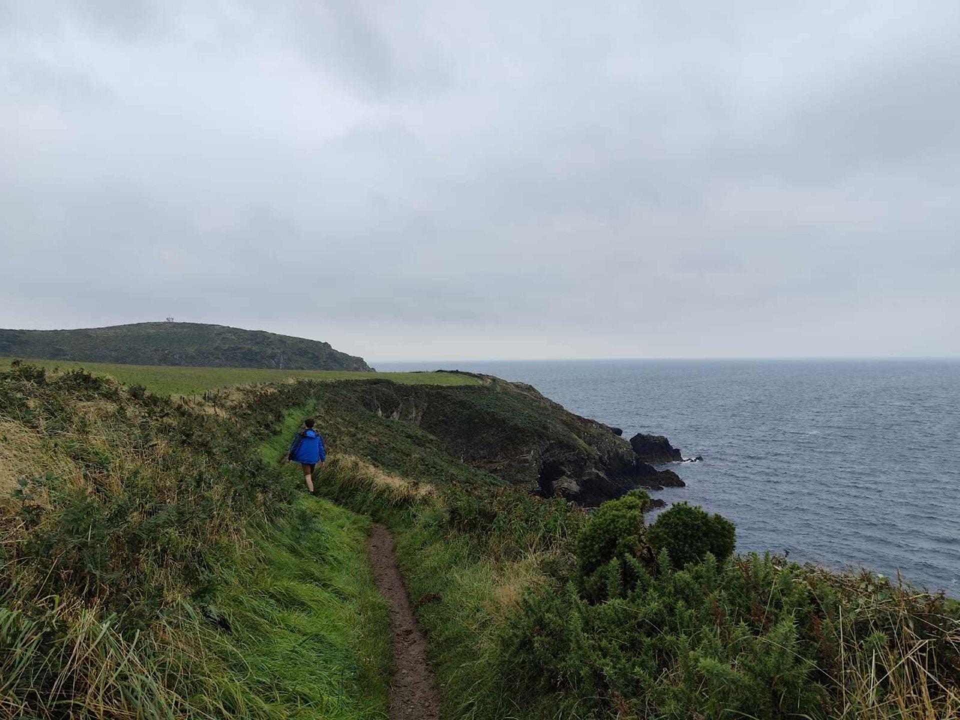 Walker on Pembrokeshire Coast Path 