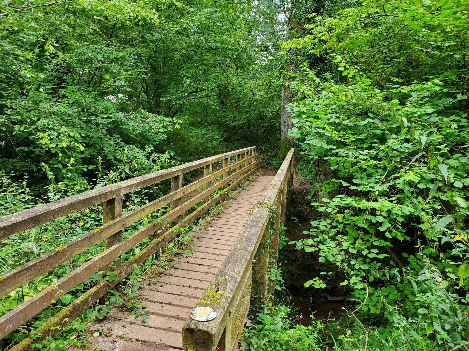Wooden bridge on the Offa's Dyke path 