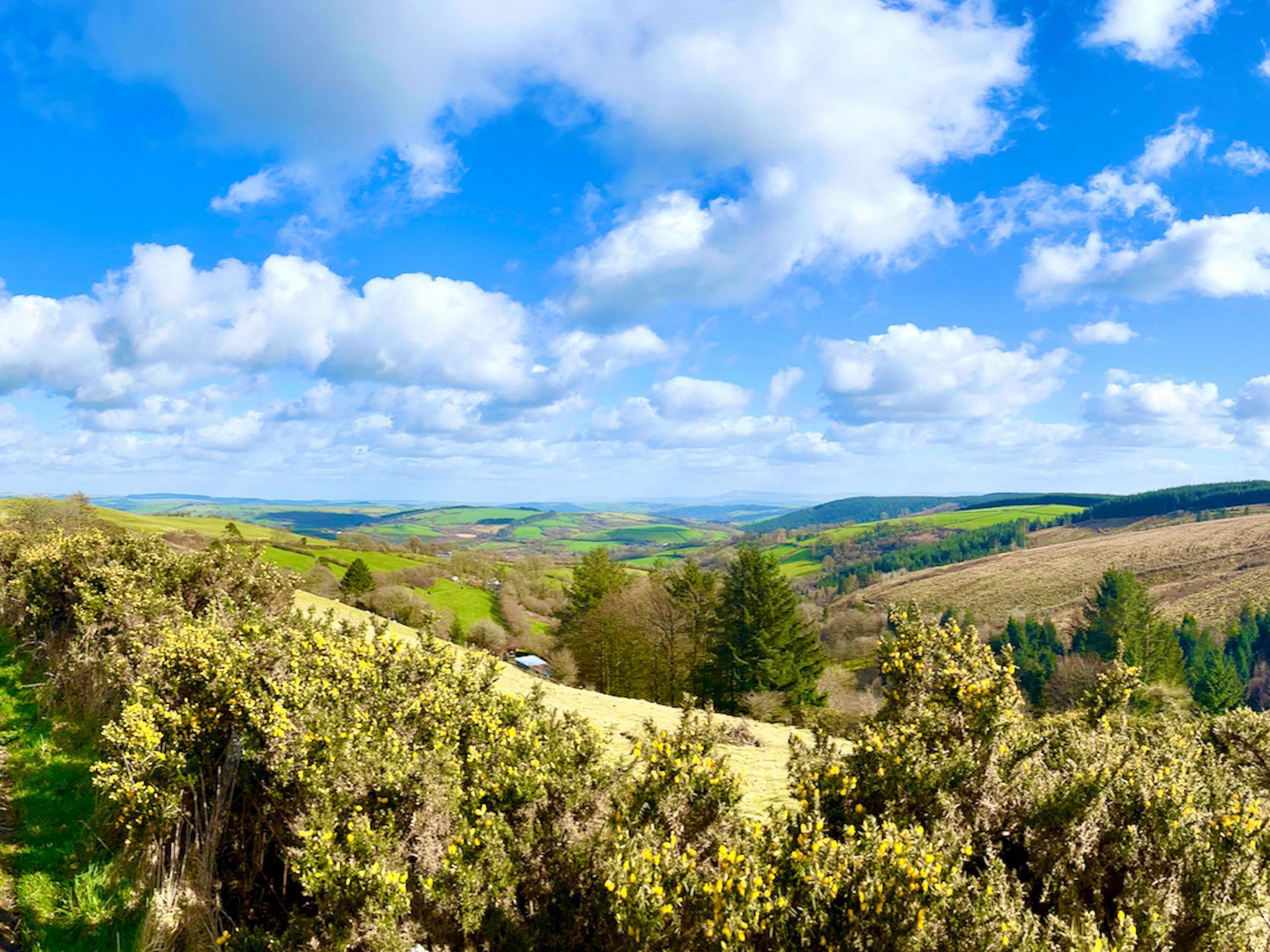 A view of the surrounding countryside
