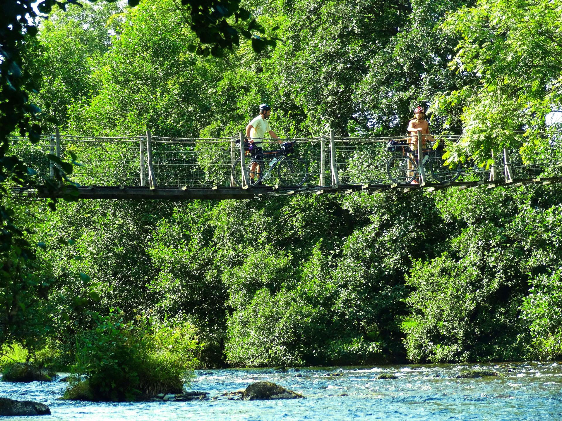 Suspension bridge