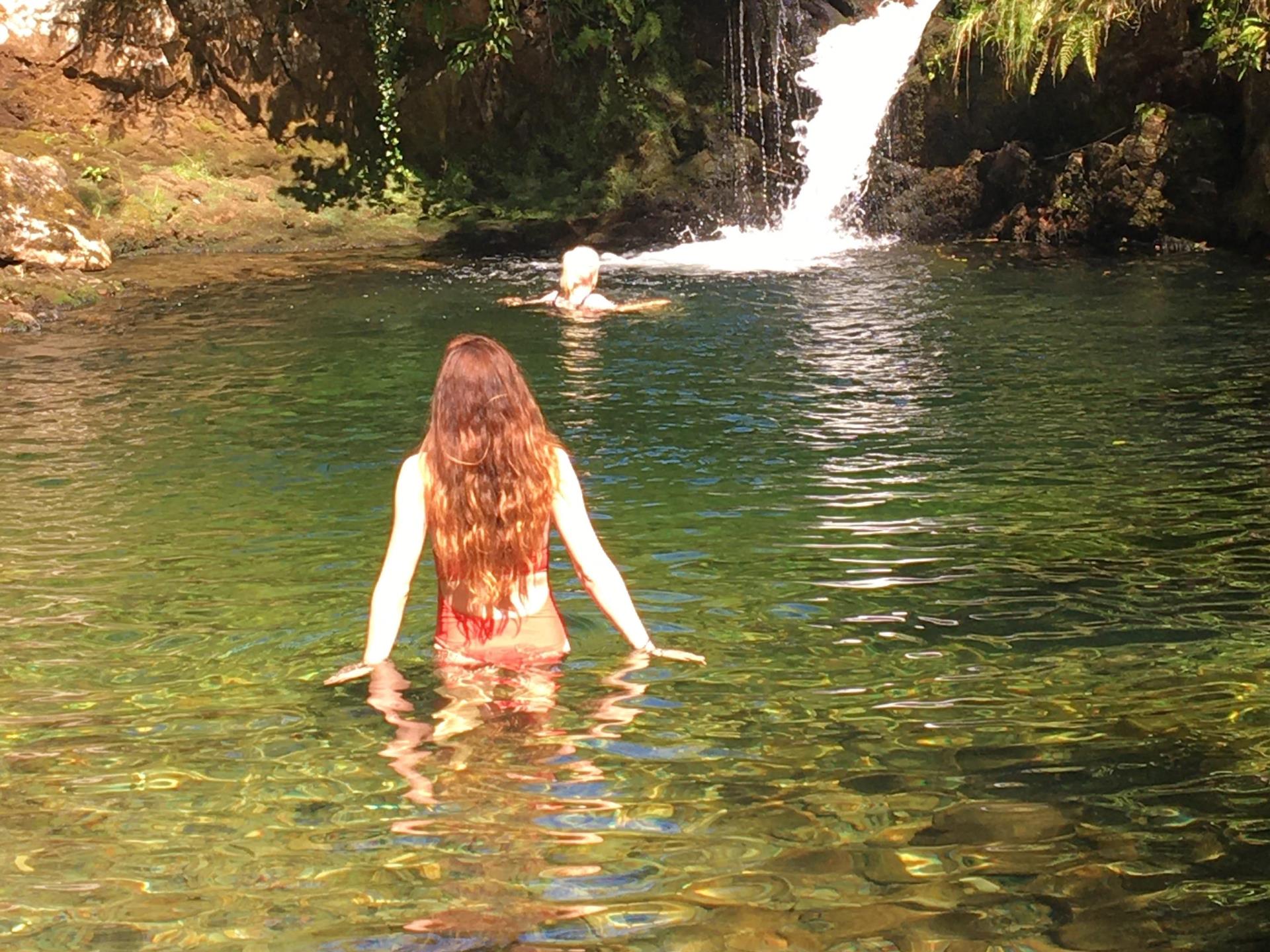 Forest pool