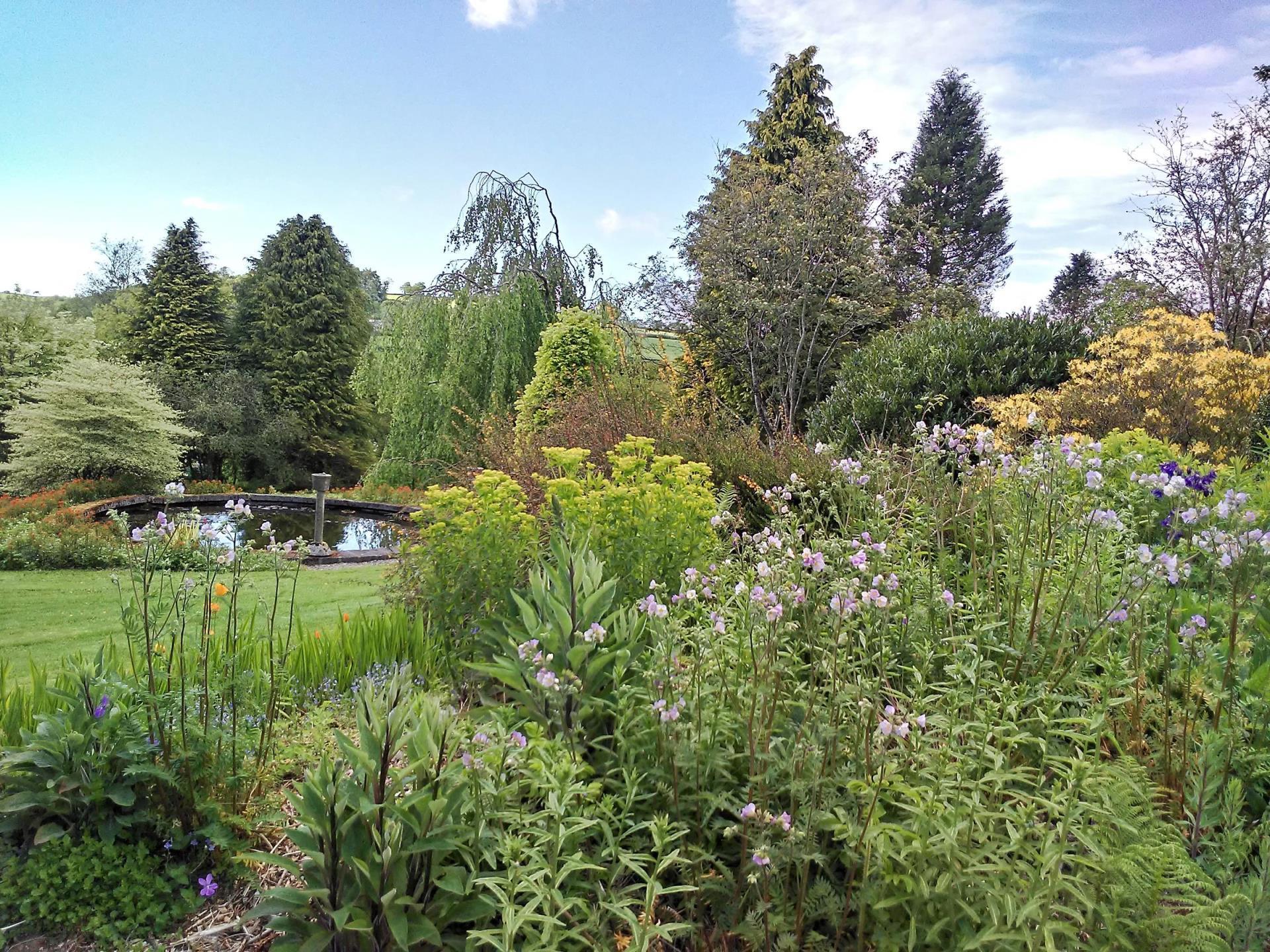 Cae Hir Gardens