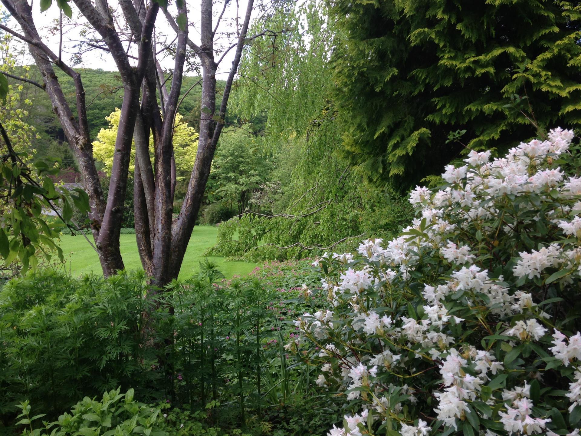 Cae Hir Gardens