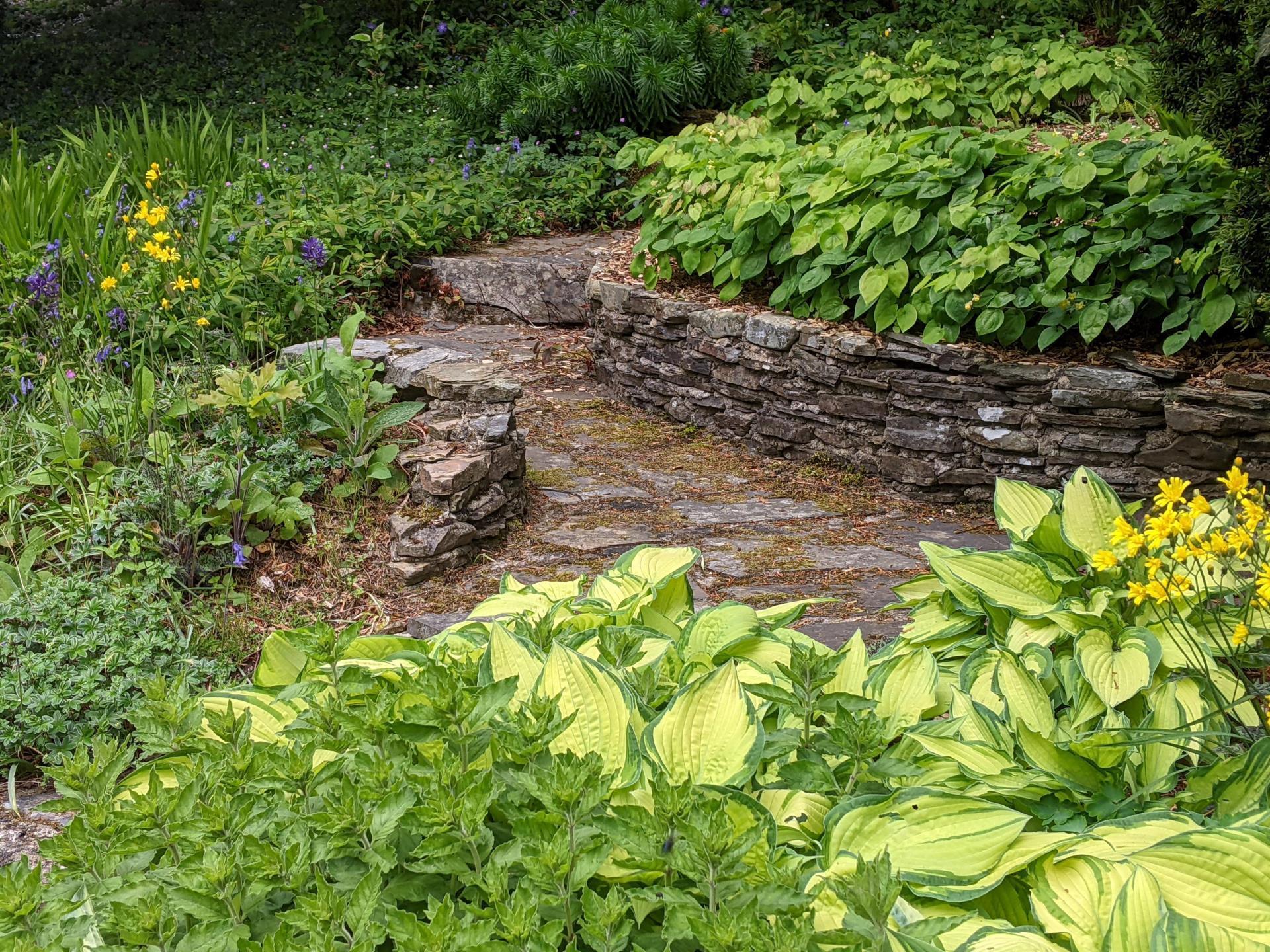 Cae Hir Gardens
