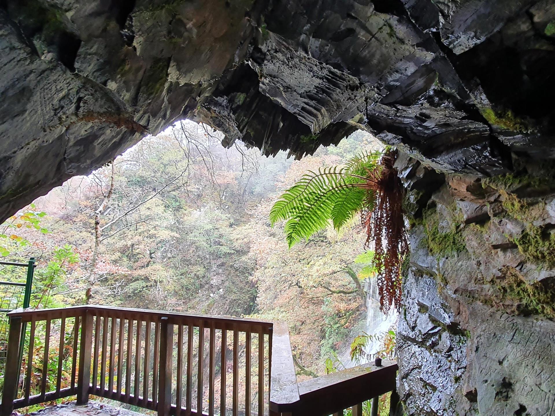 Inside Robbers Cave