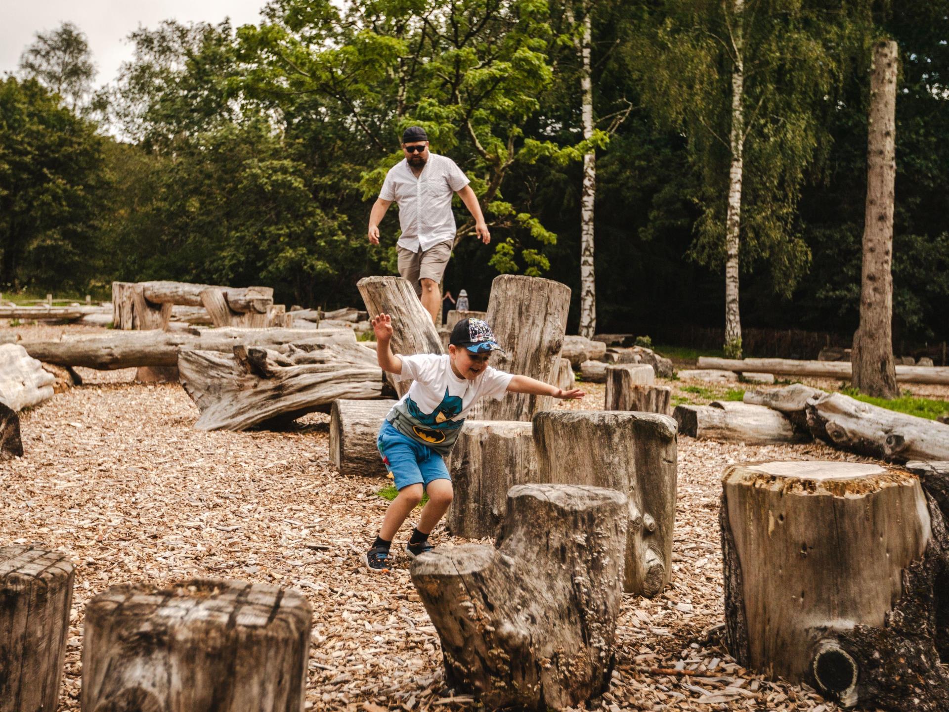 The Log Stack play area at Dyffryn Gardens