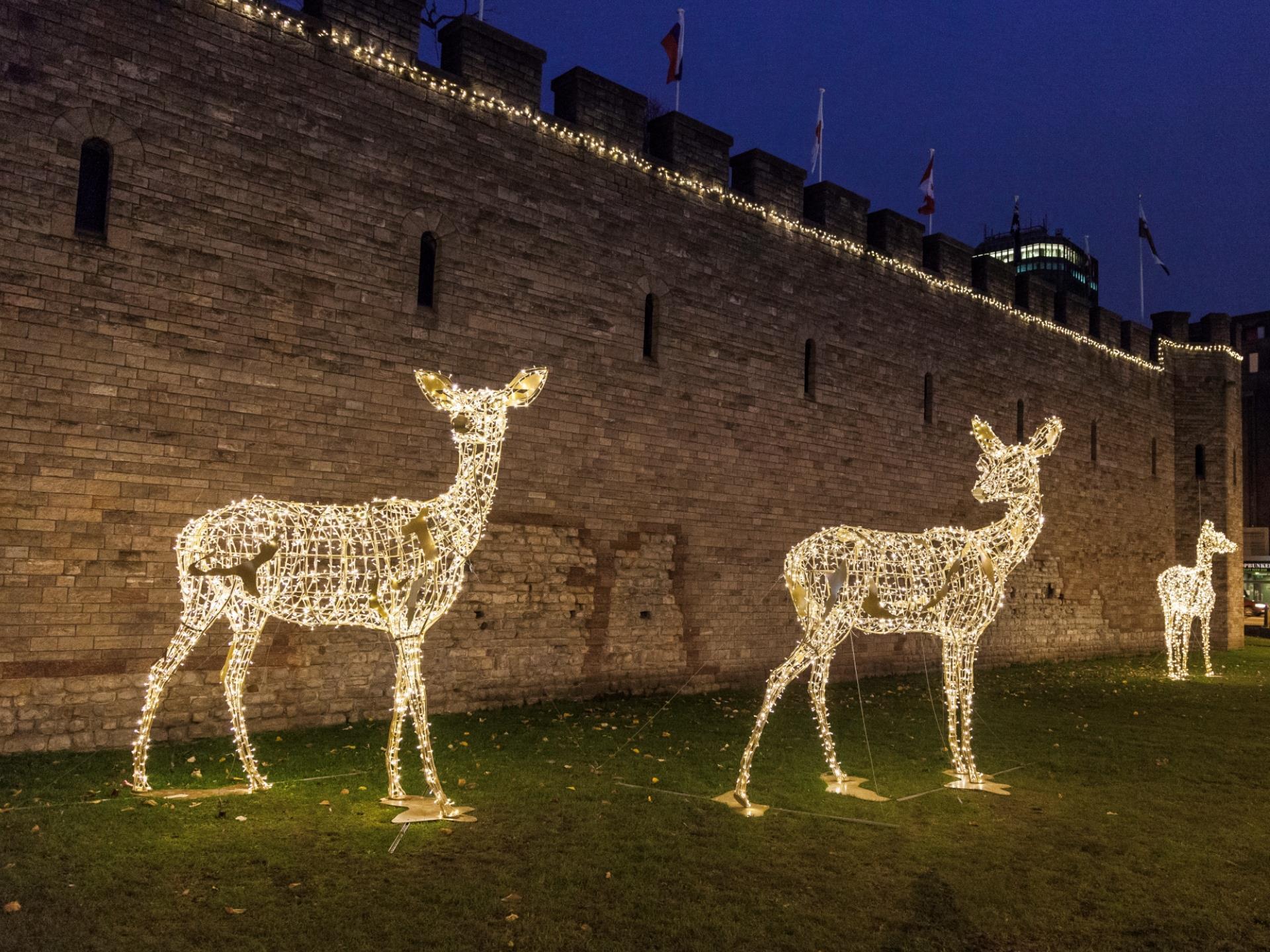 Cardiff Winter Wonderland