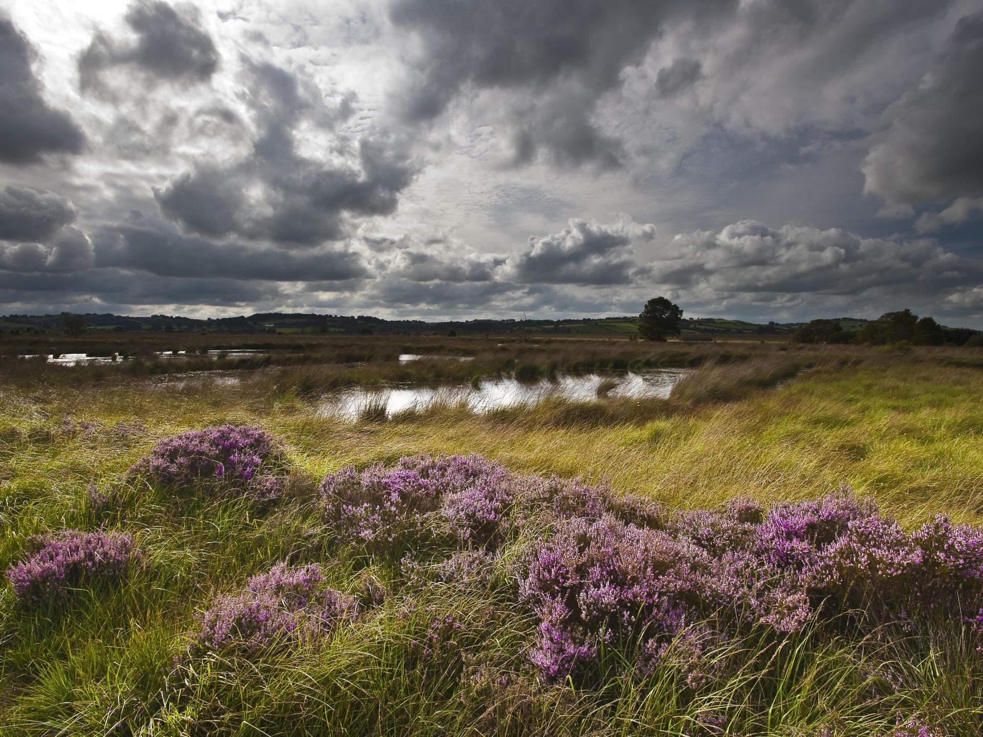 Cors Caron on a stormy day