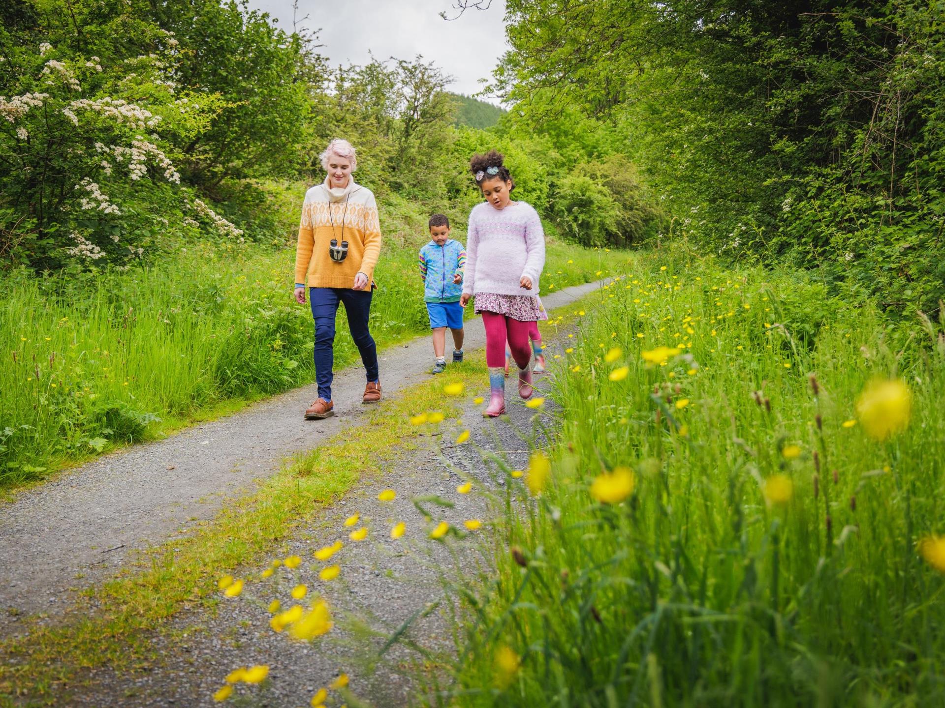 Trail on disused railway track alongside Cors Caro