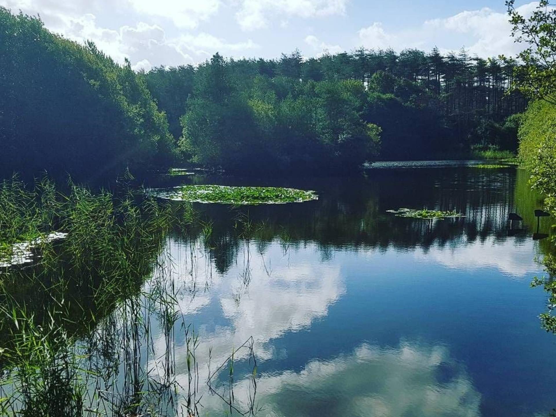 Pembrey Country Park