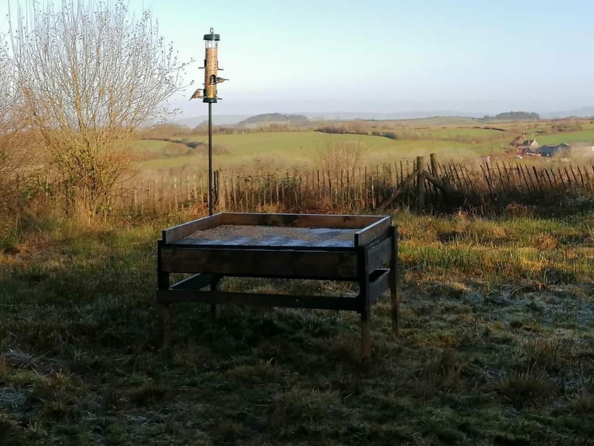 Llyn Llech Owain Country Park Bird Feeding Station