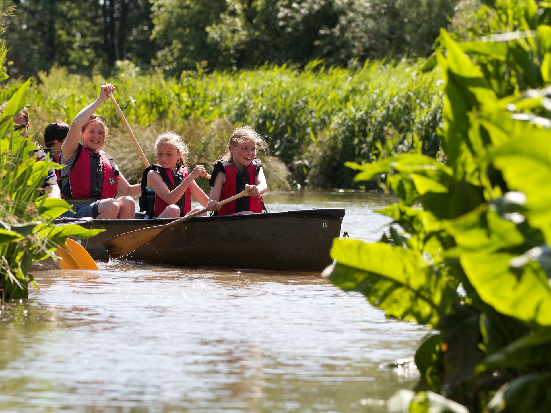 Summer Canoe Safari