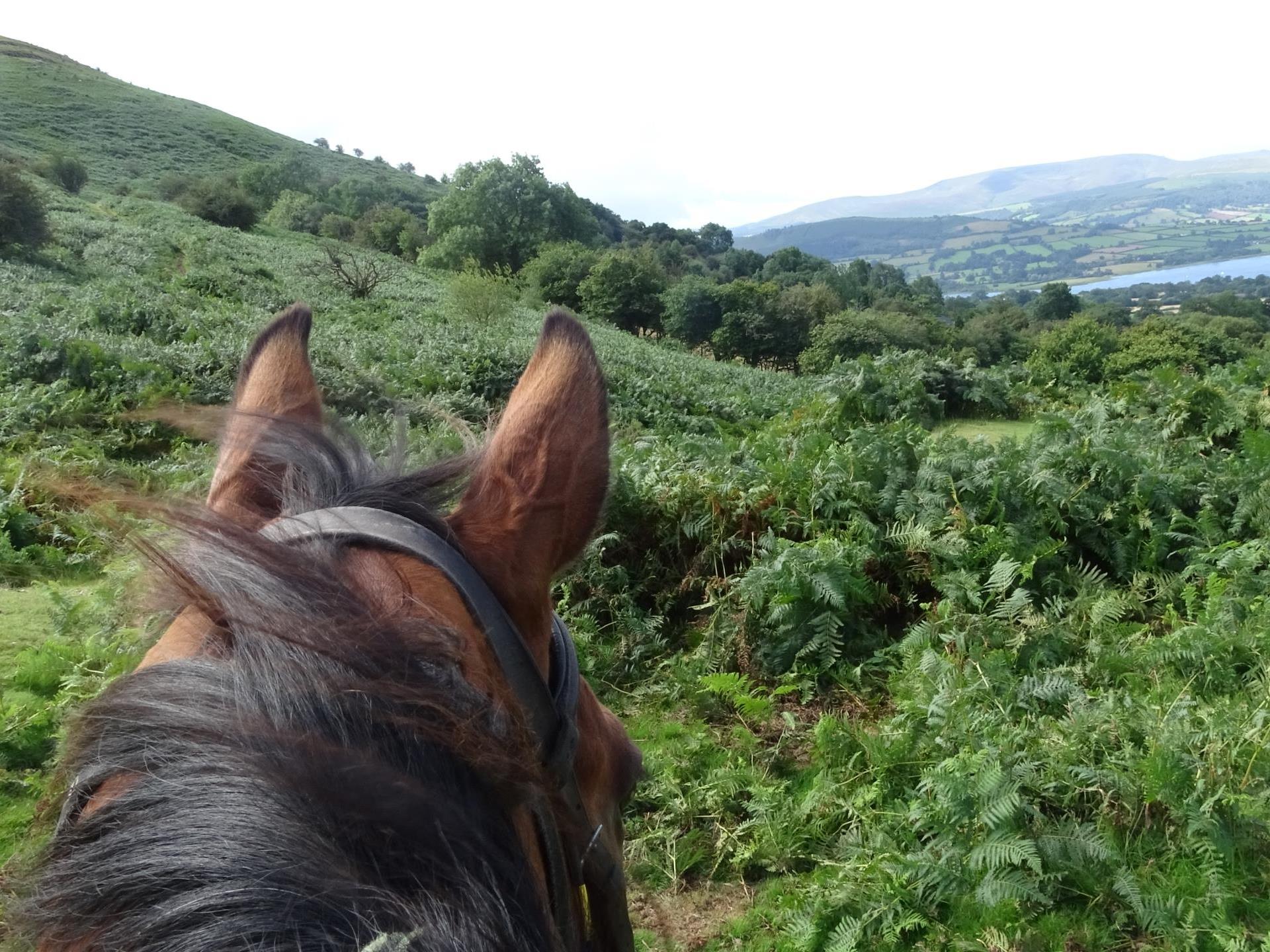 In the hills with Ellesmere Riding Centre