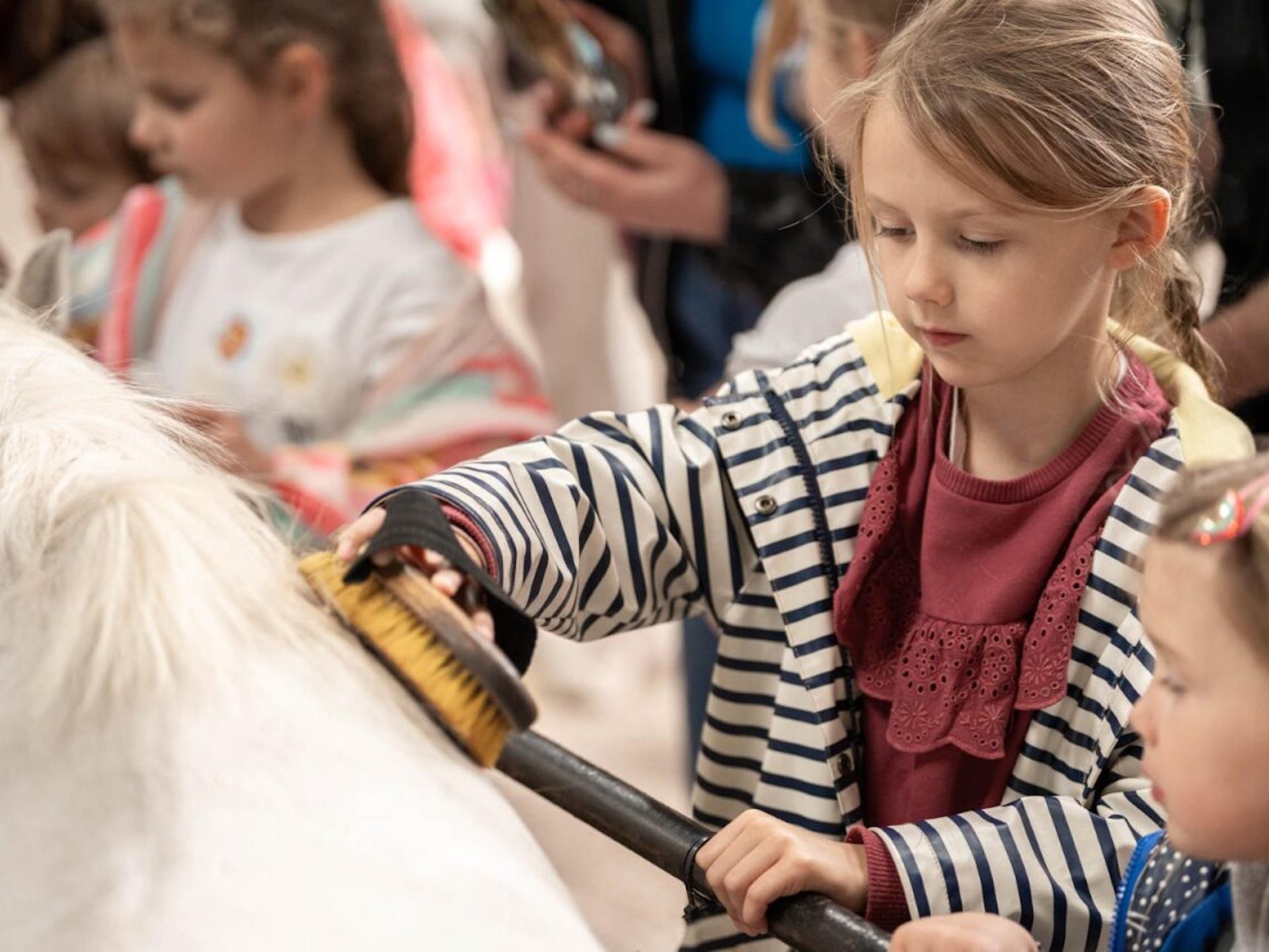 Cantref Adventure Farm