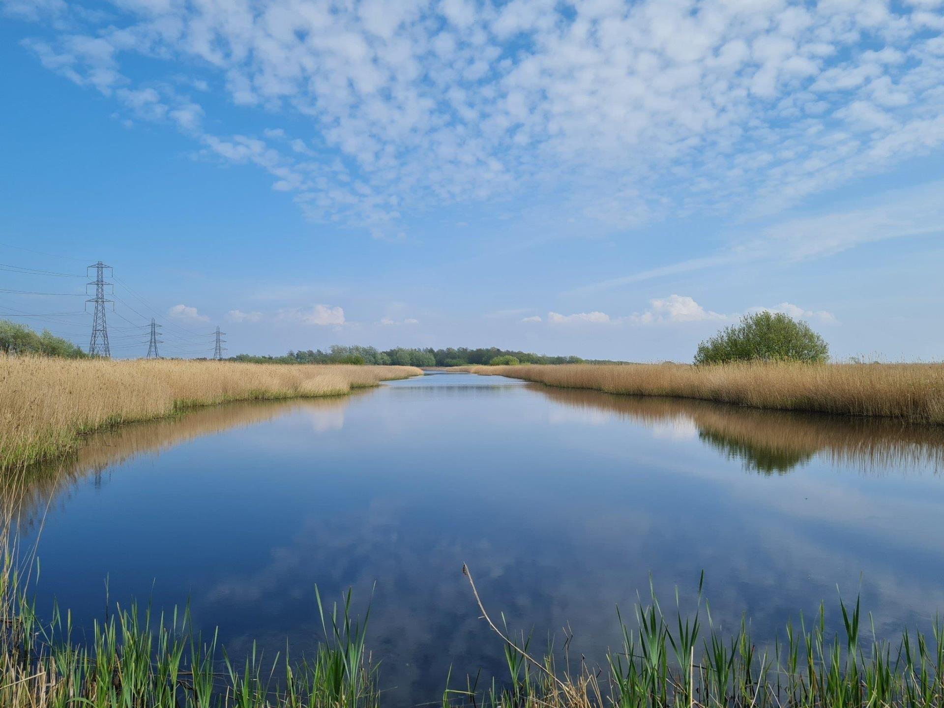 RSPB Newport Wetlands