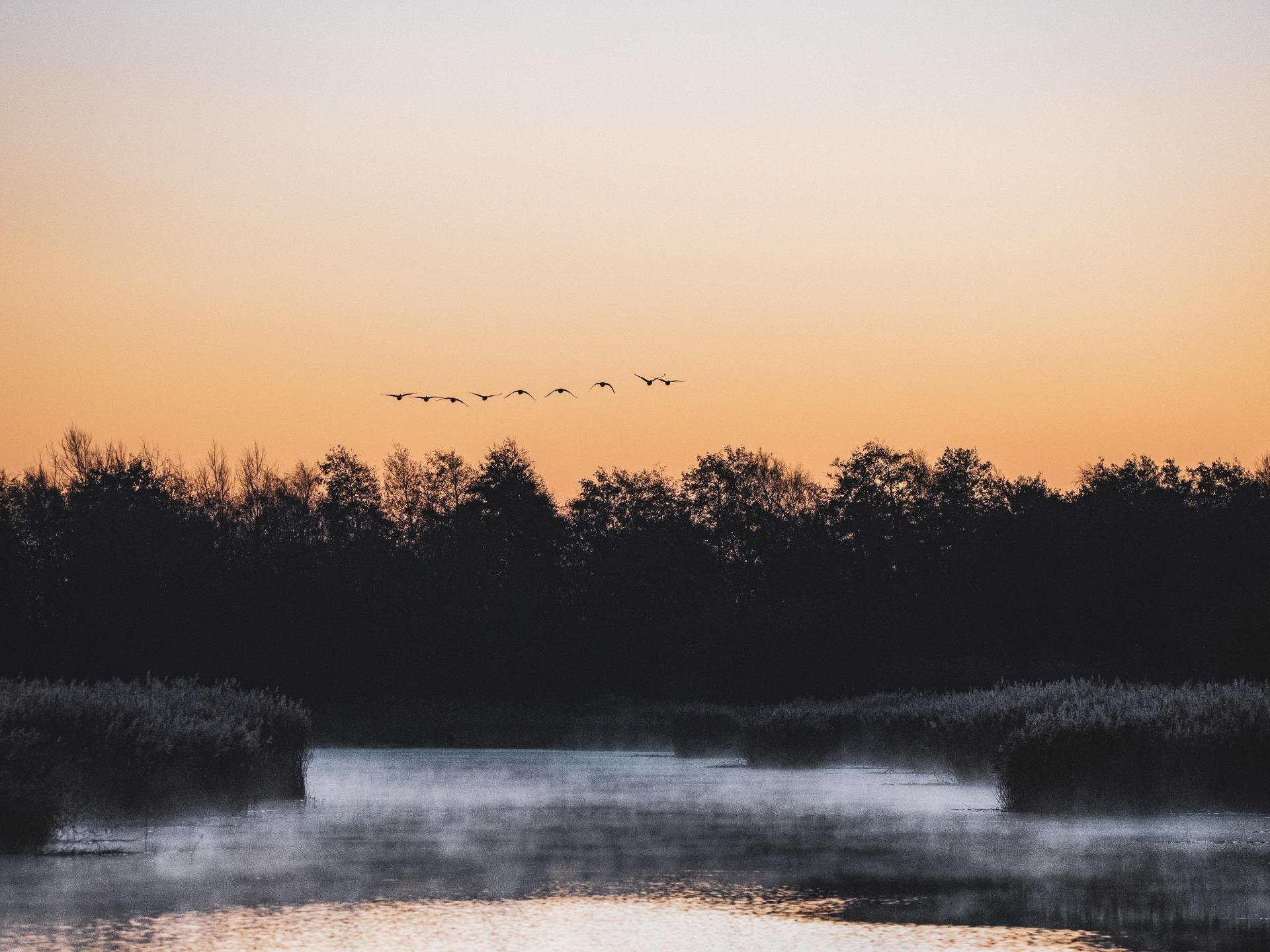 RSPB Newport Wetlands