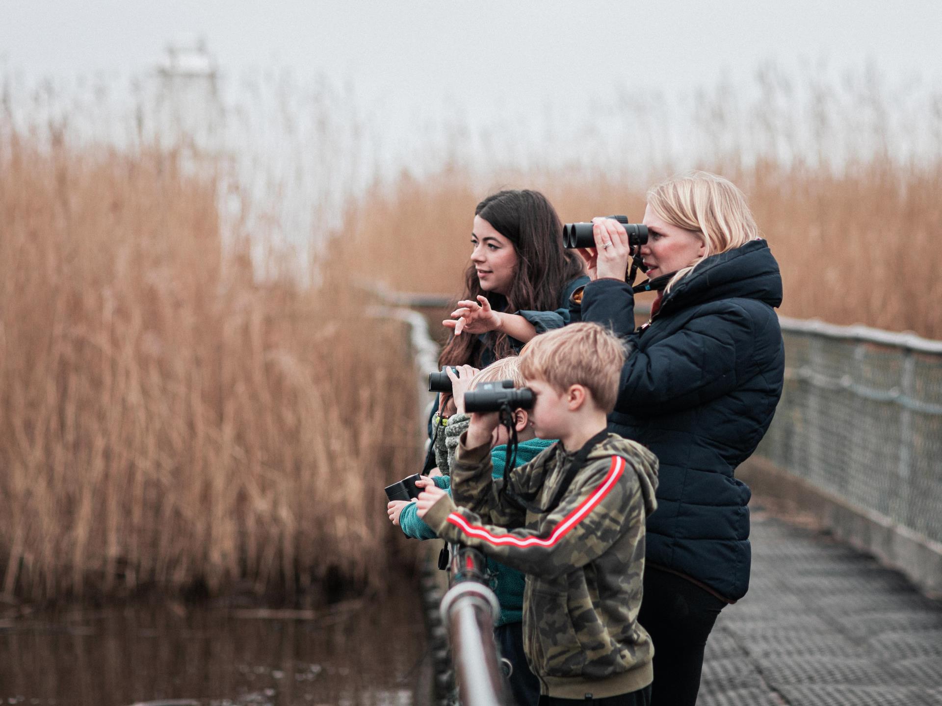 RSPB Newport Wetlands