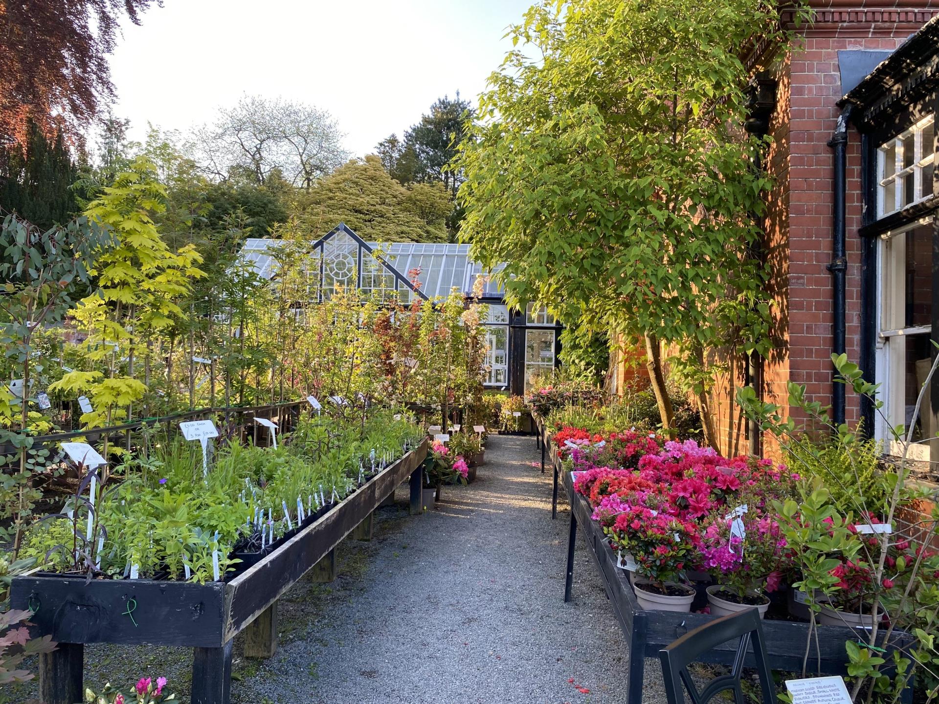 Plant Sales - Hergest Croft Gardens