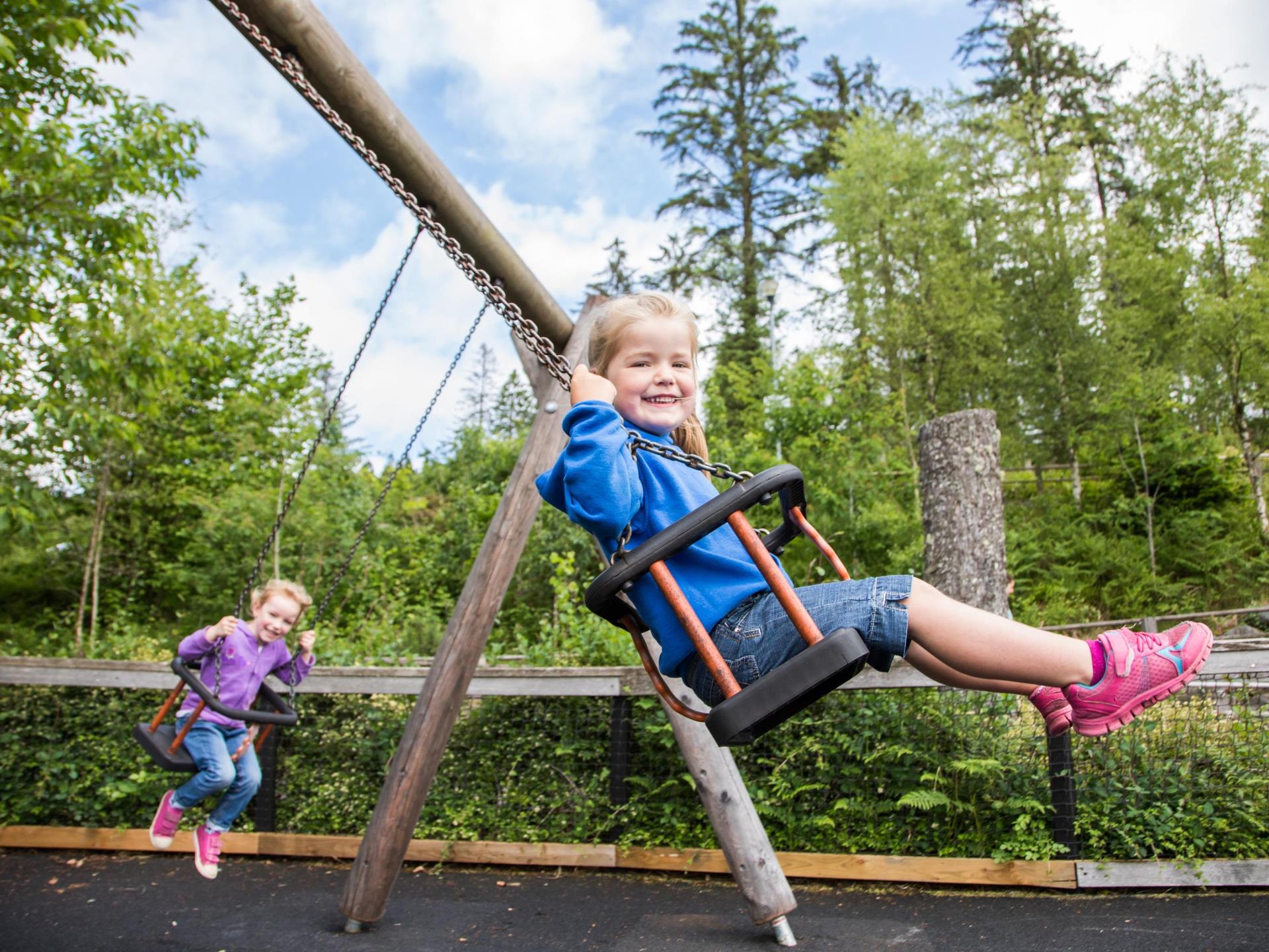 Coed y brenin best sale forest park mtb trails