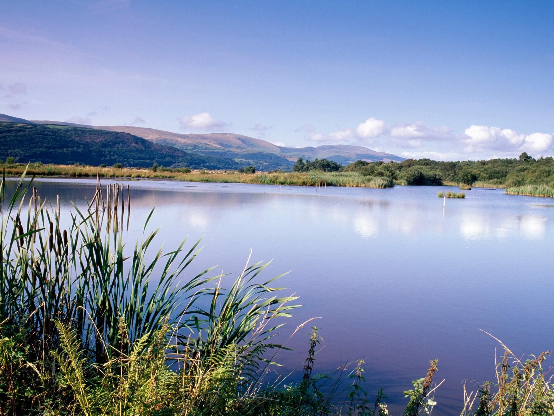 RSPB Ynys-Hir