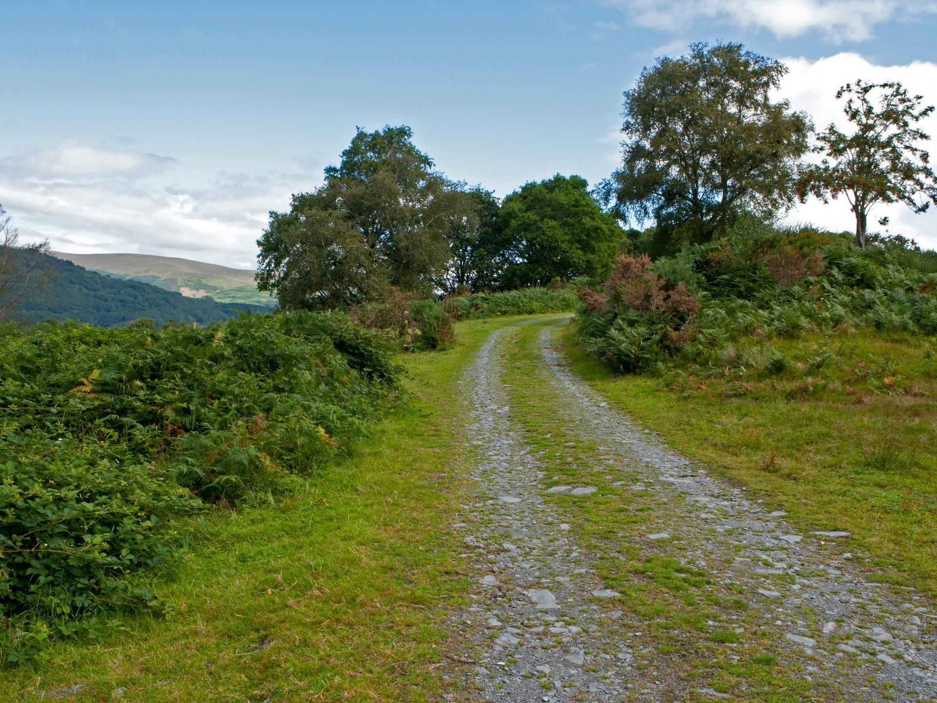 RSPB Ynys-Hir