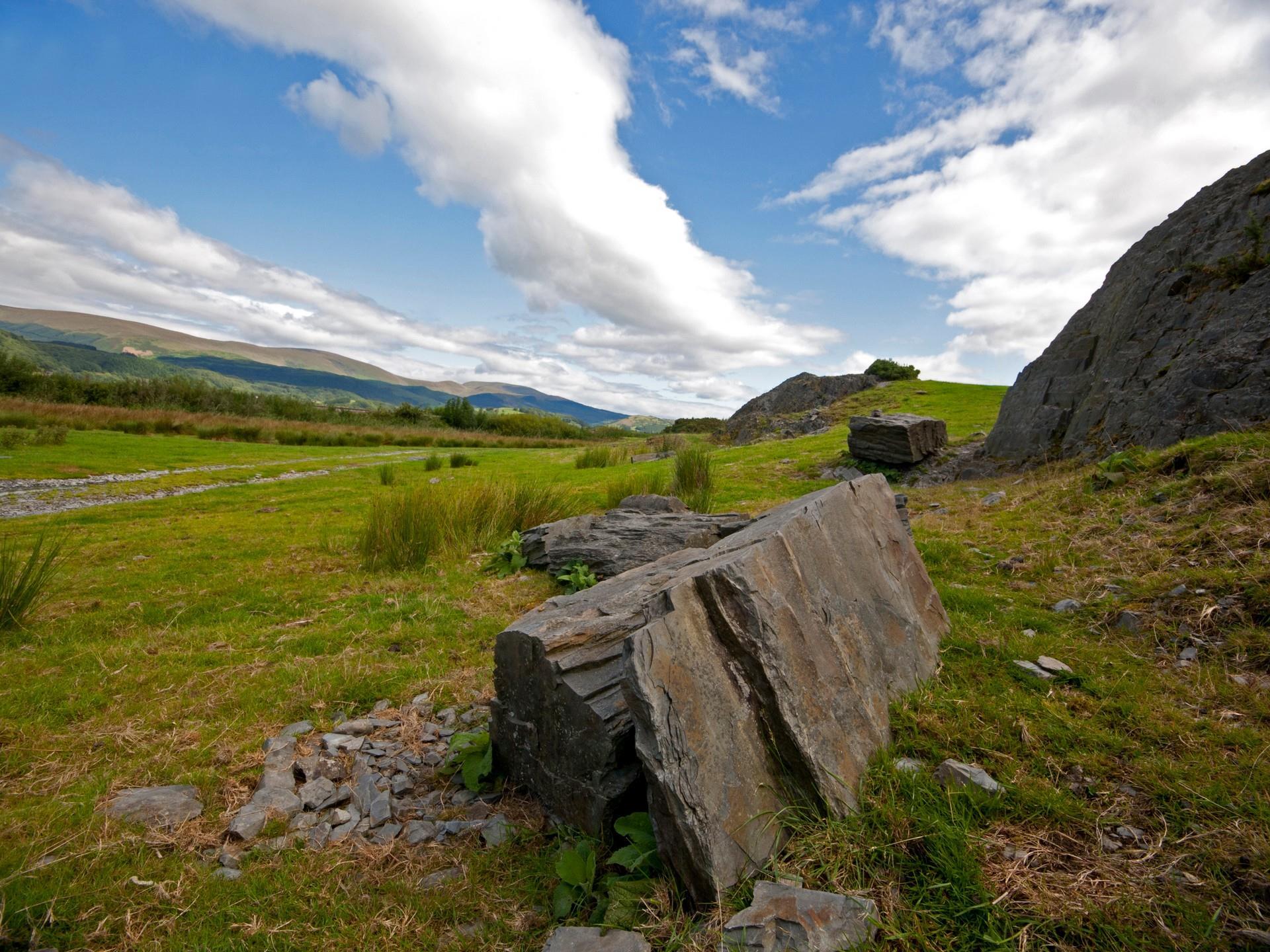 RSPB Ynys-Hir