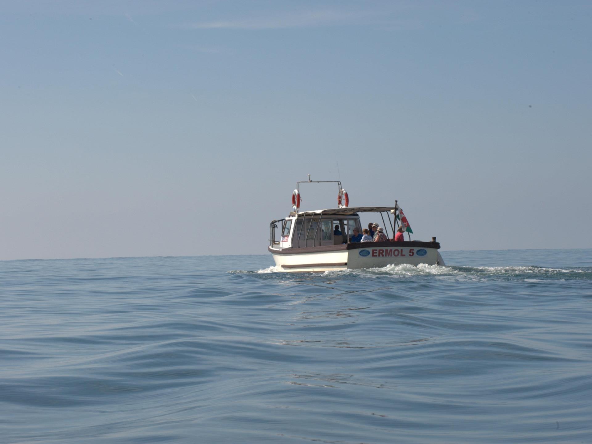 Dolphin spotting boat, Ermol 5