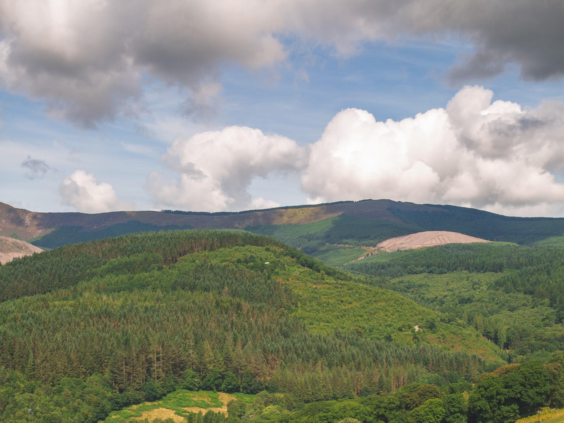 Dyfi Valley Landscape