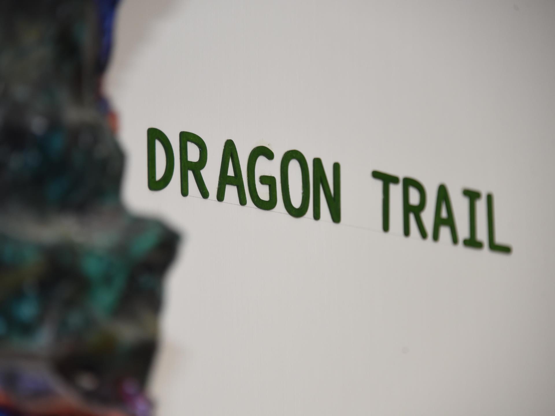 Dragon Trail for kids