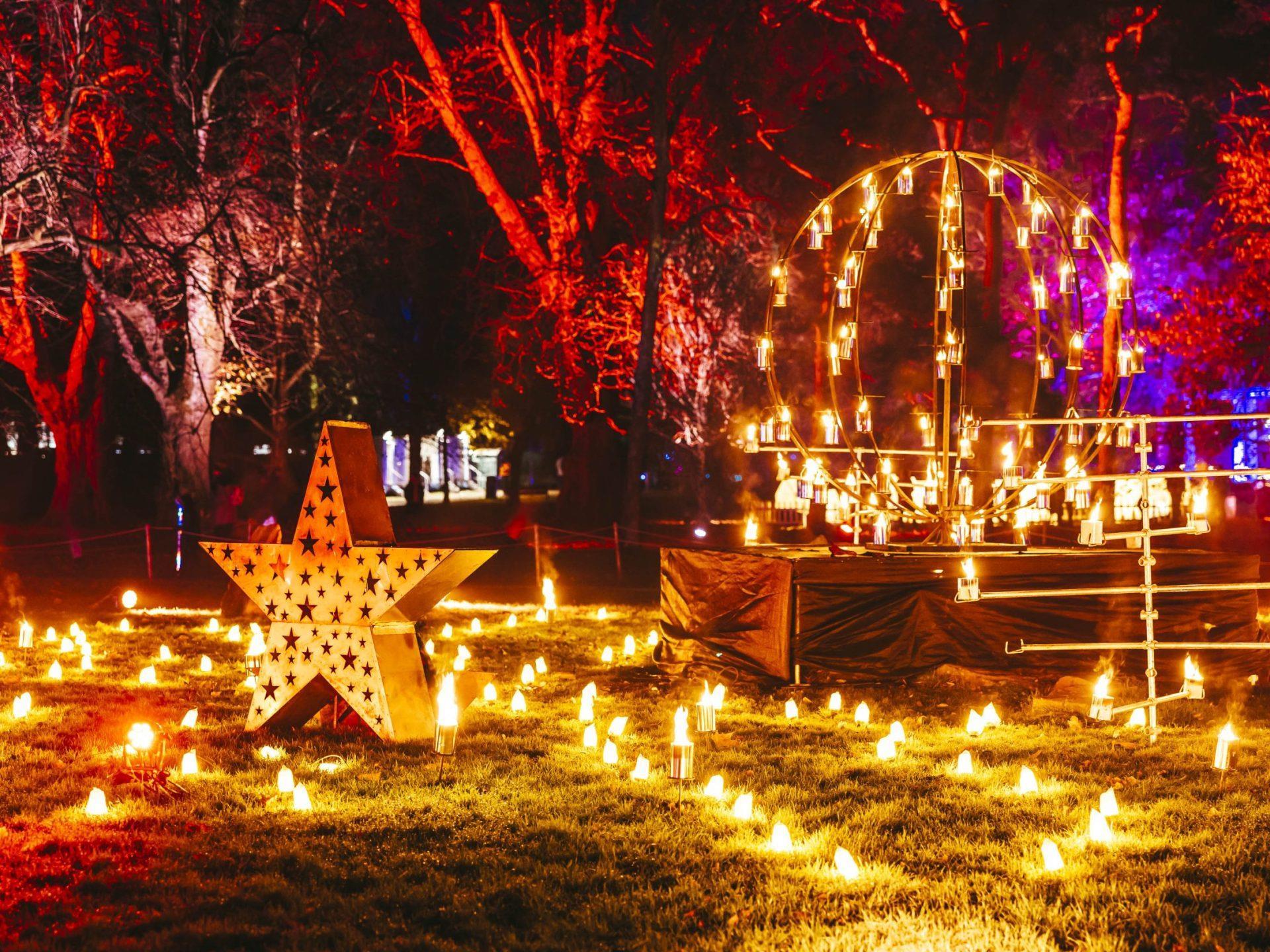 Christmas at Bute Park