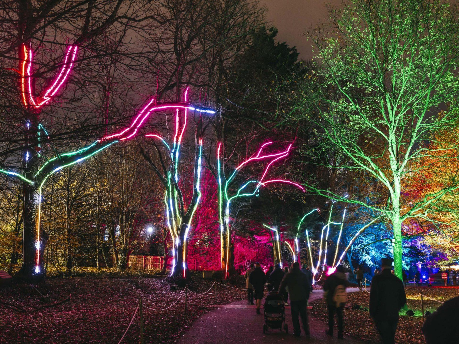 Christmas at Bute Park