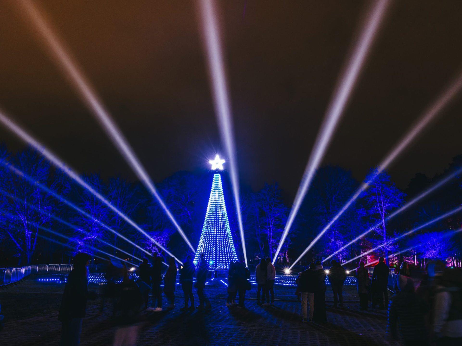 Christmas at Bute Park