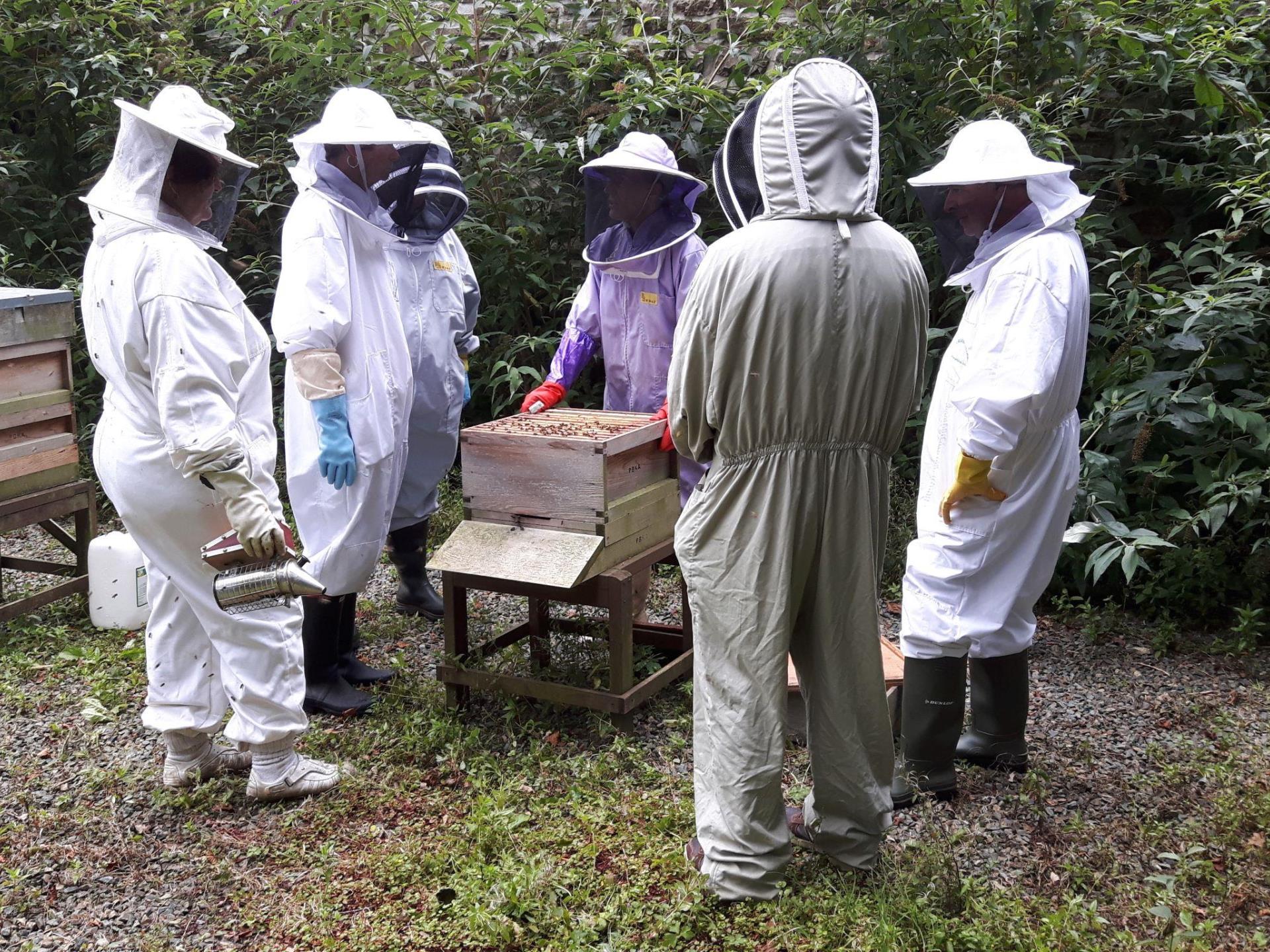 Beekeepers at Scolton Manor