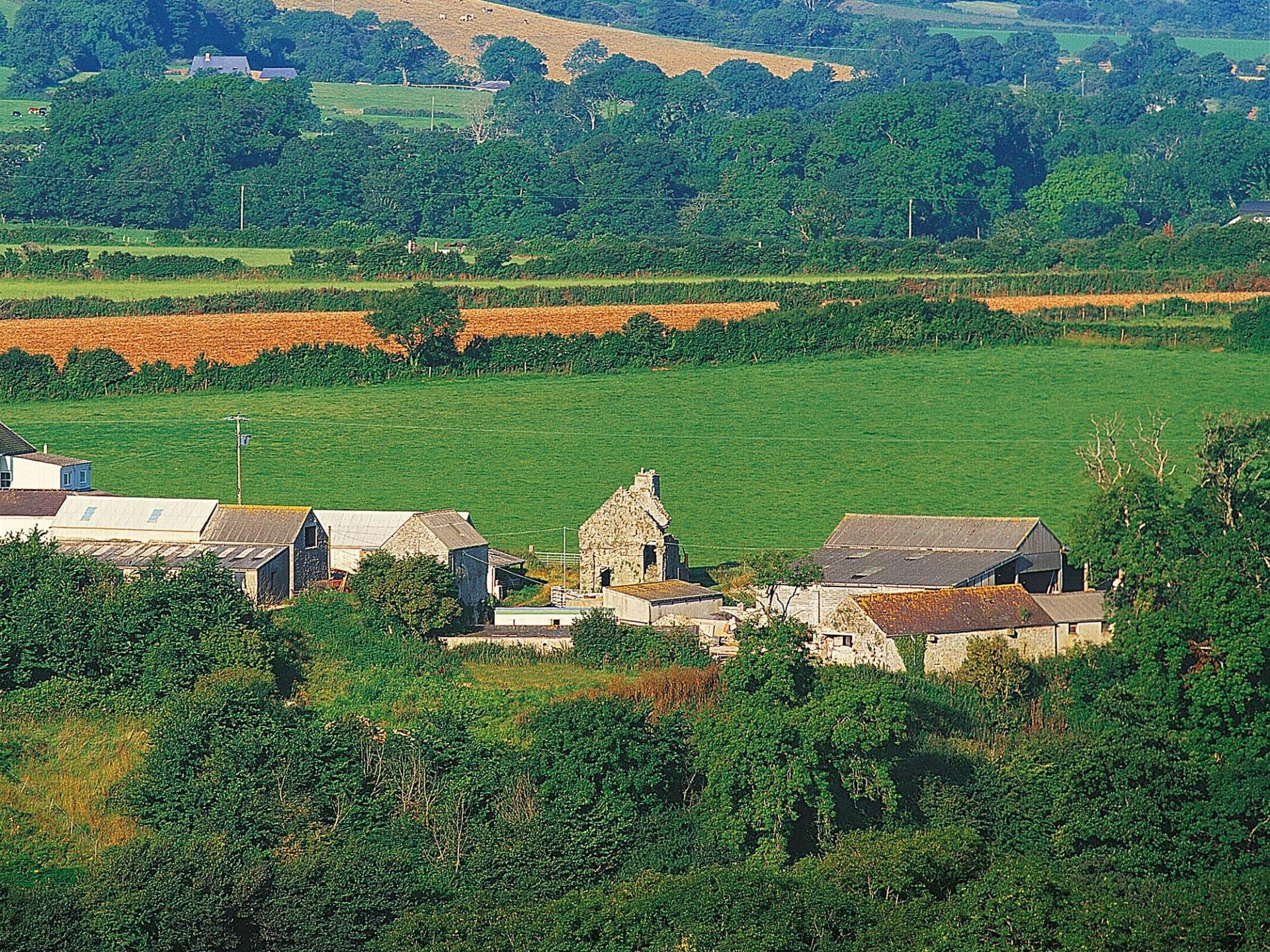 Carswell Medieval House