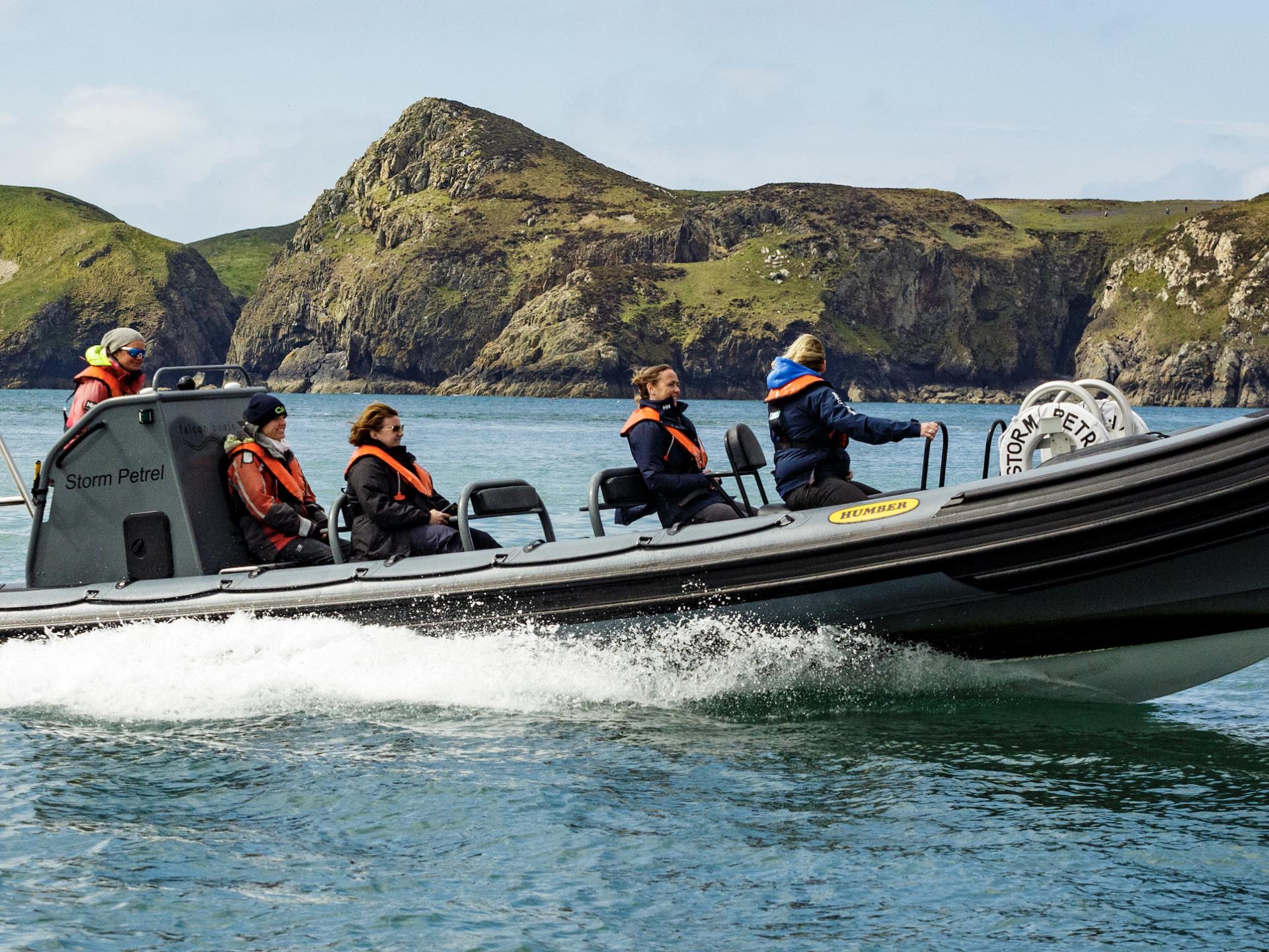Storm Petrel, Ffion's RHIB out on the water!