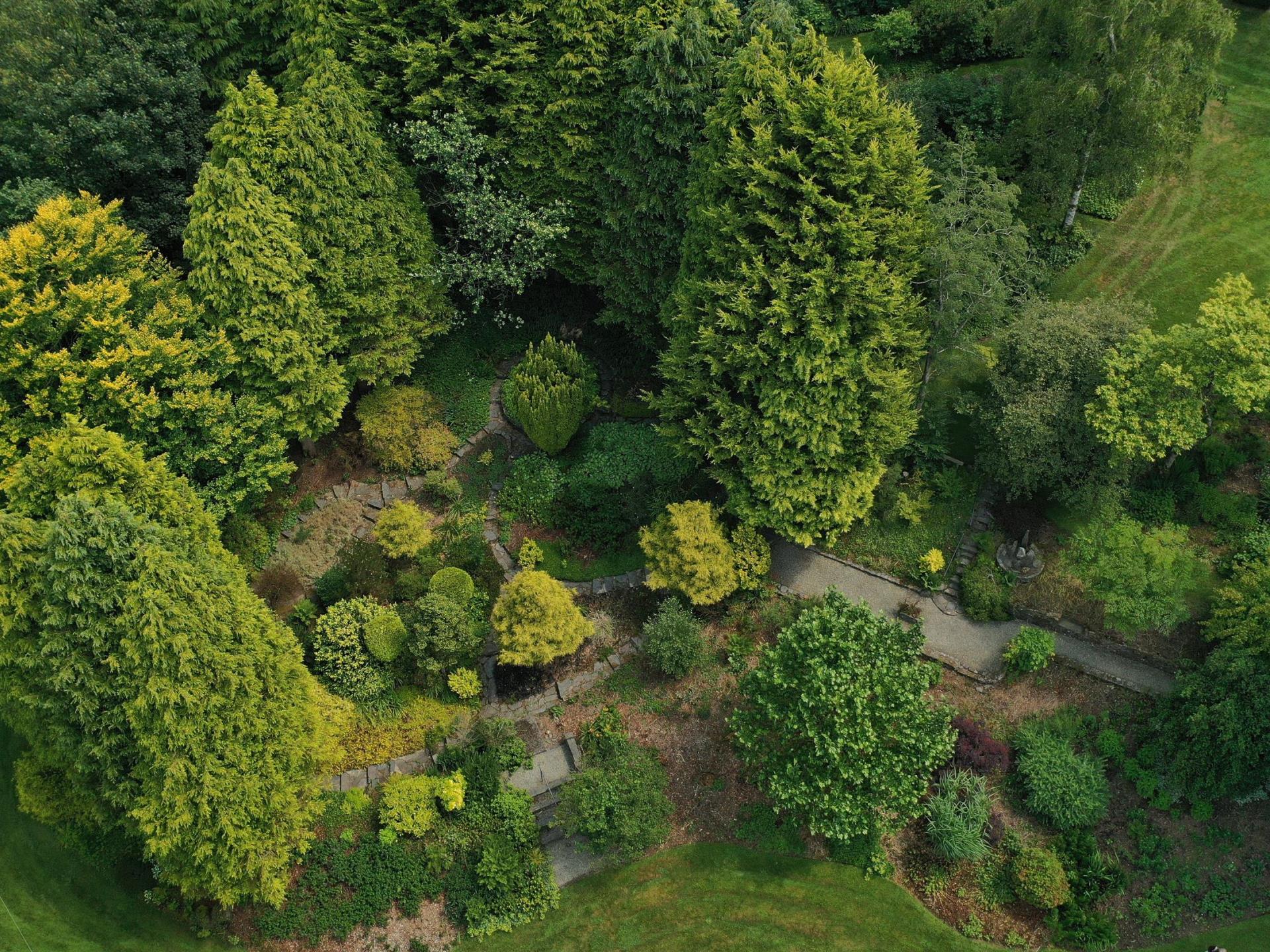 Yellow Garden Birds Eye View