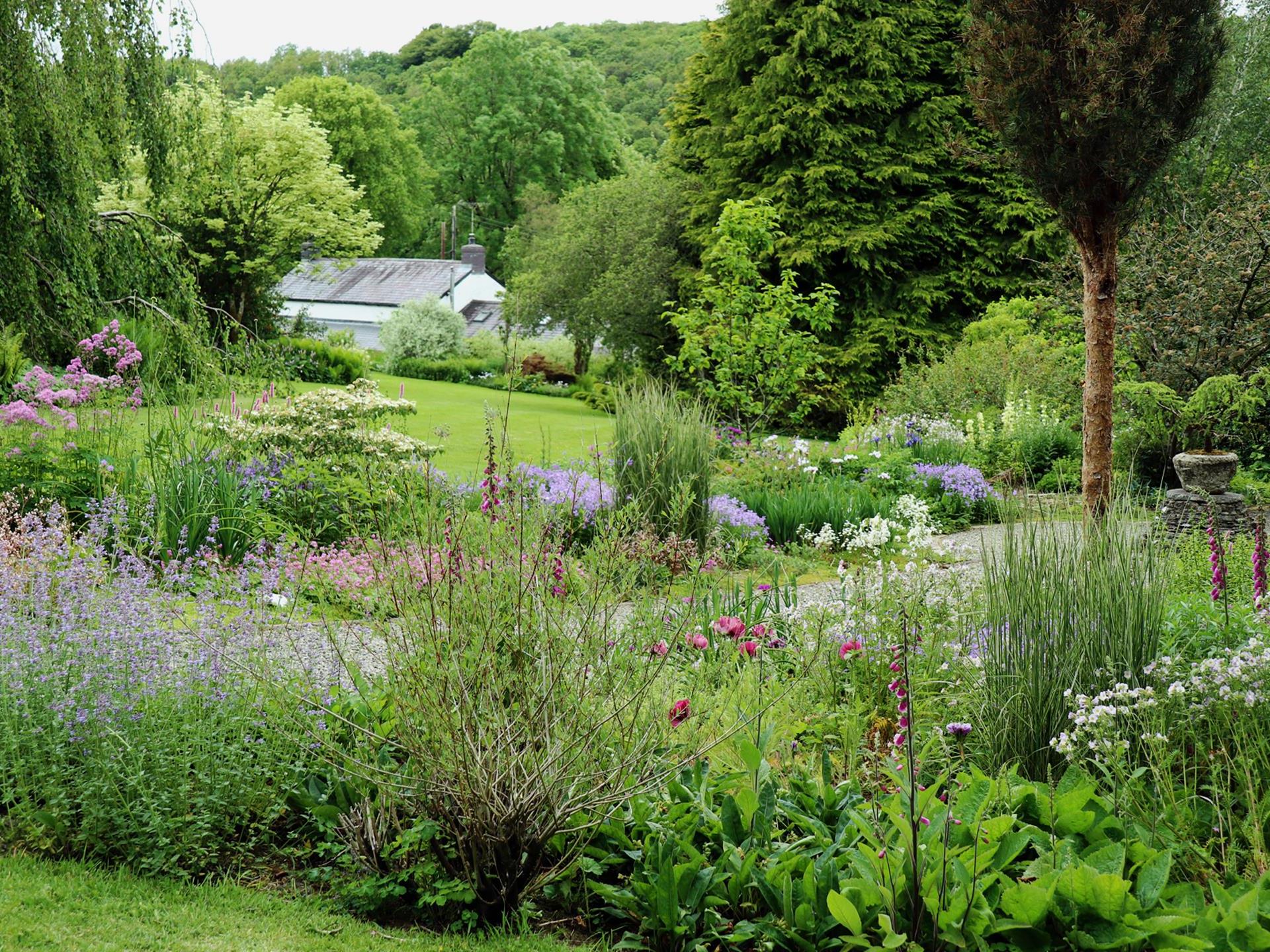 Blue Garden at Cae Hir Gardens, West Wales