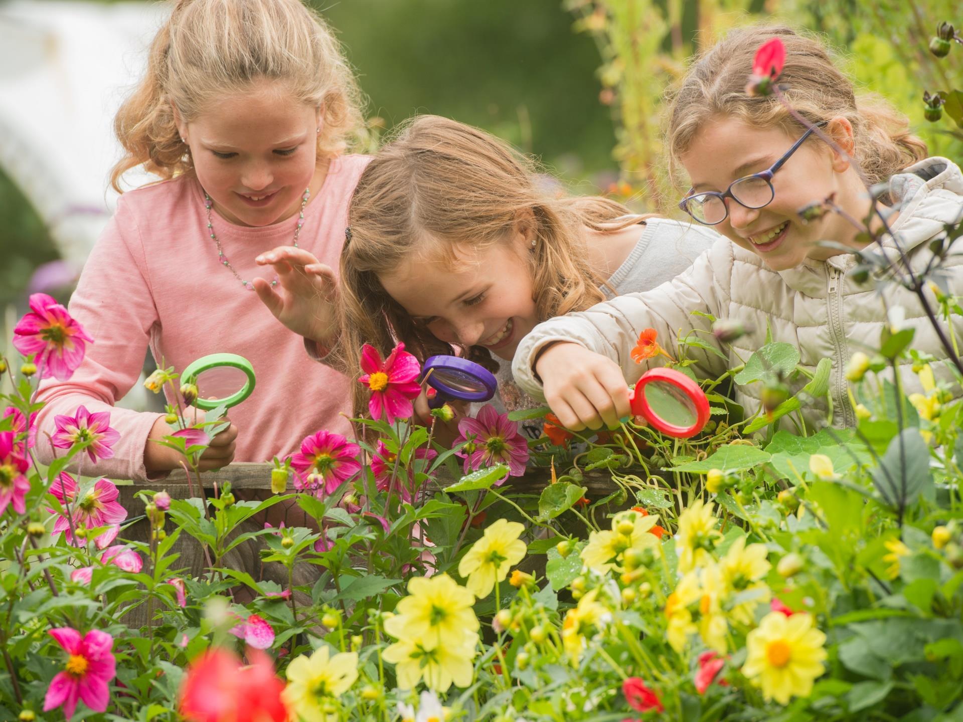 Family activities run every school holiday