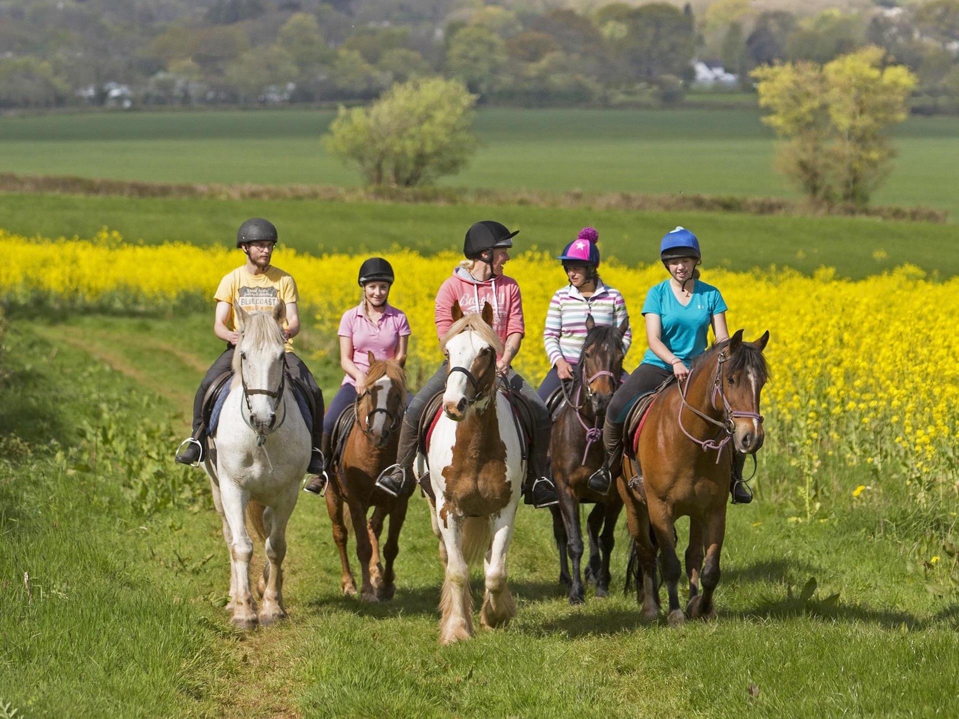 Horse Riding on Private Bridleways