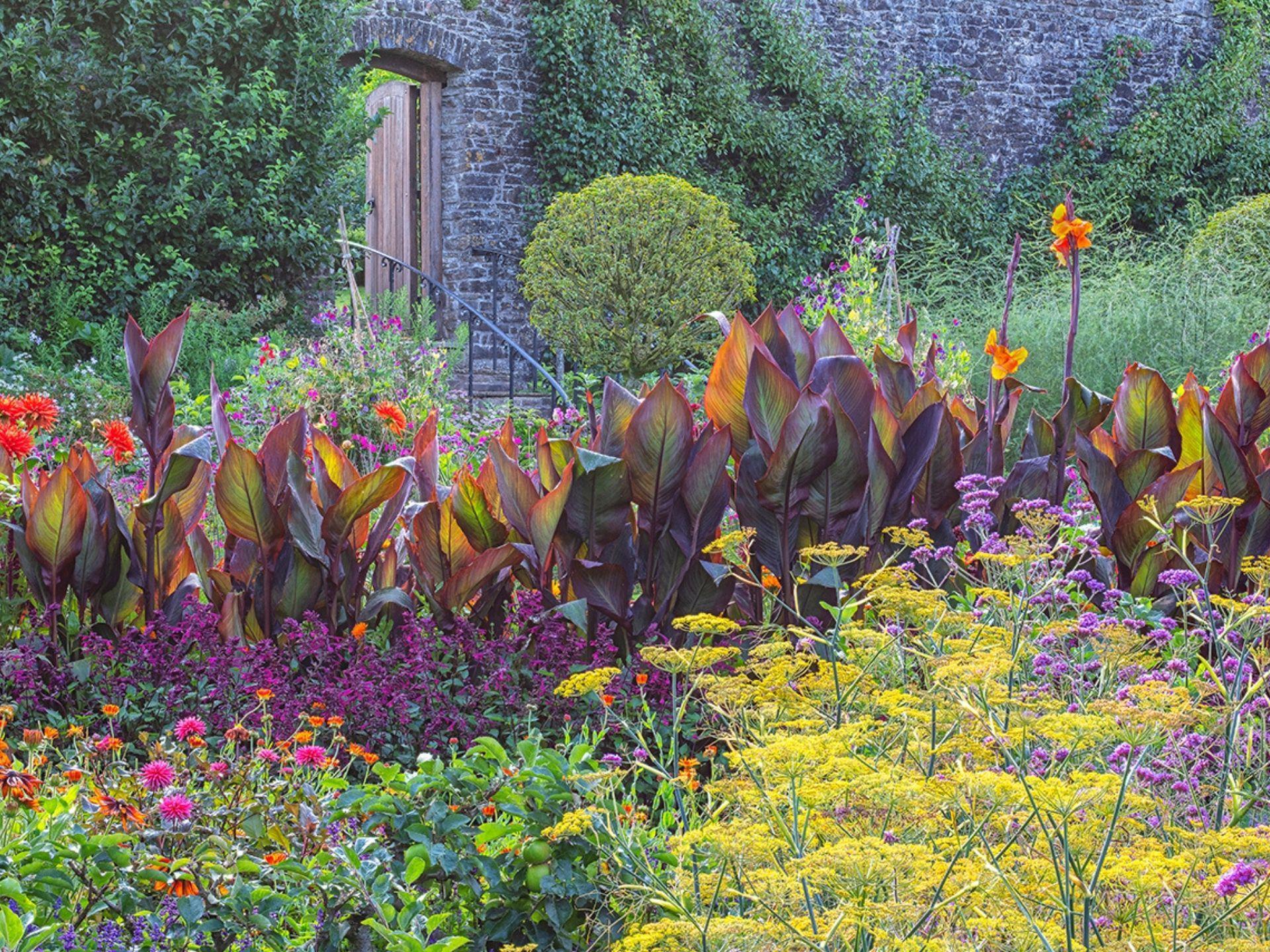 Kitchen Garden