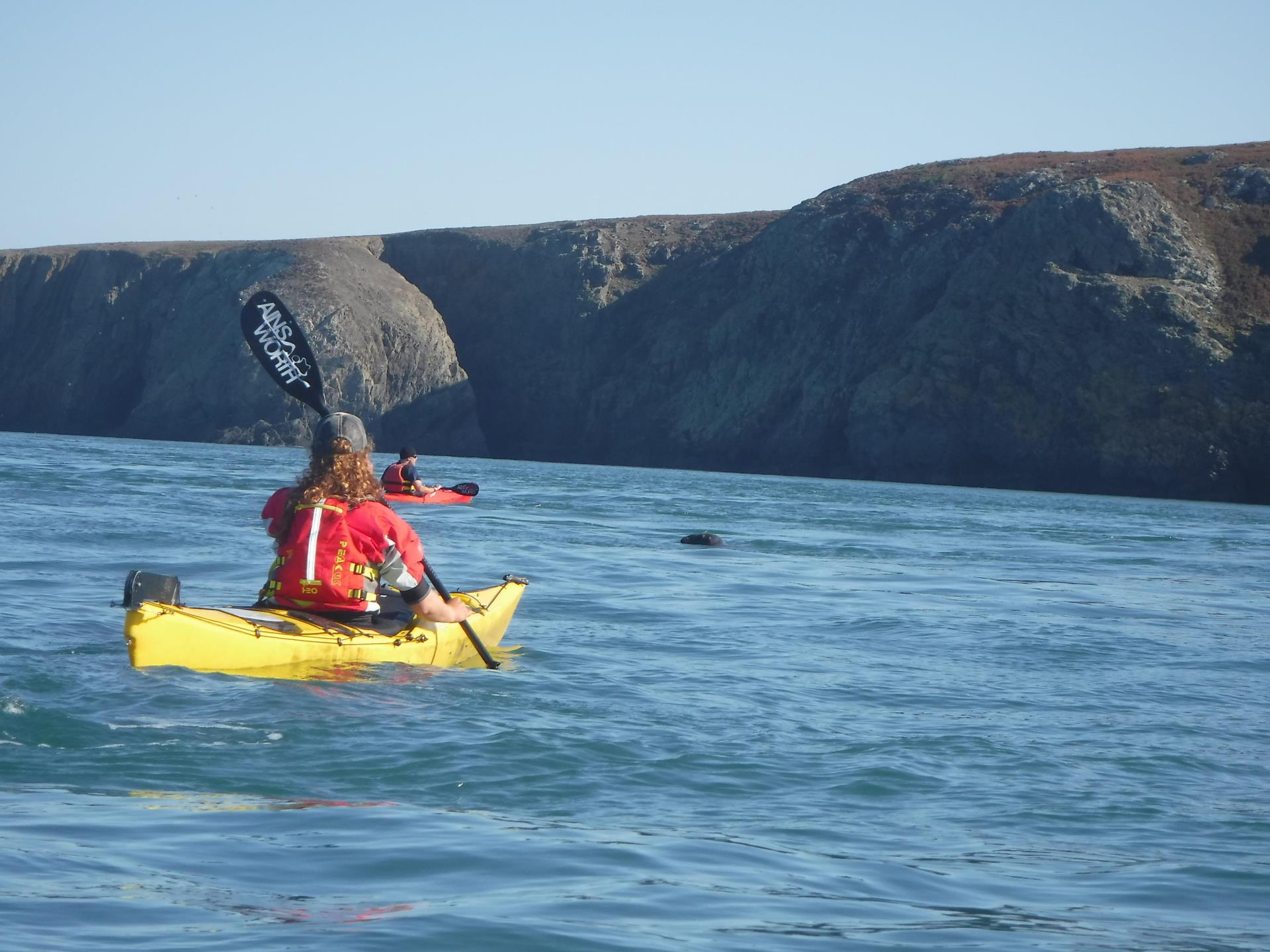 Sea Kayaking around Ramsey Island