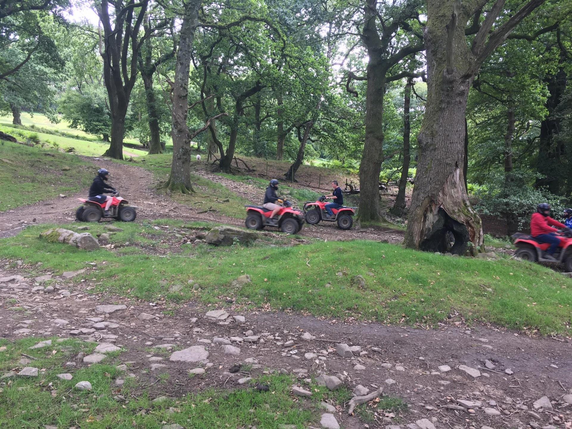 Quad Biking Wooded Area