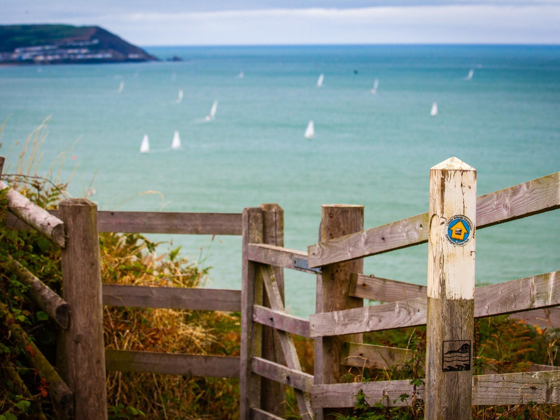 Nr New Quay, Ceredigion