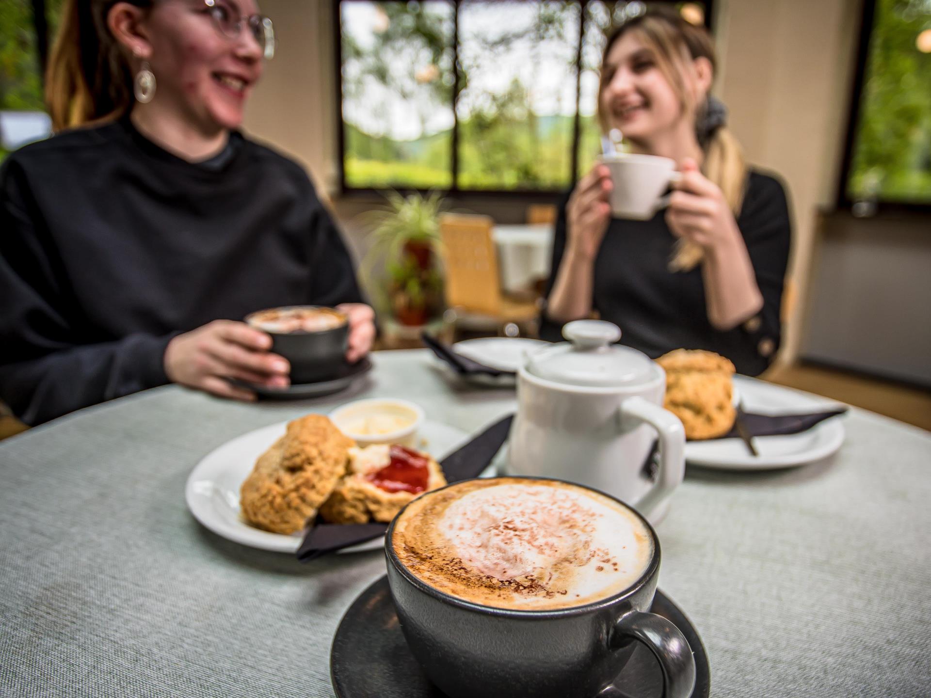 Group Meal Stop at The Corris Café