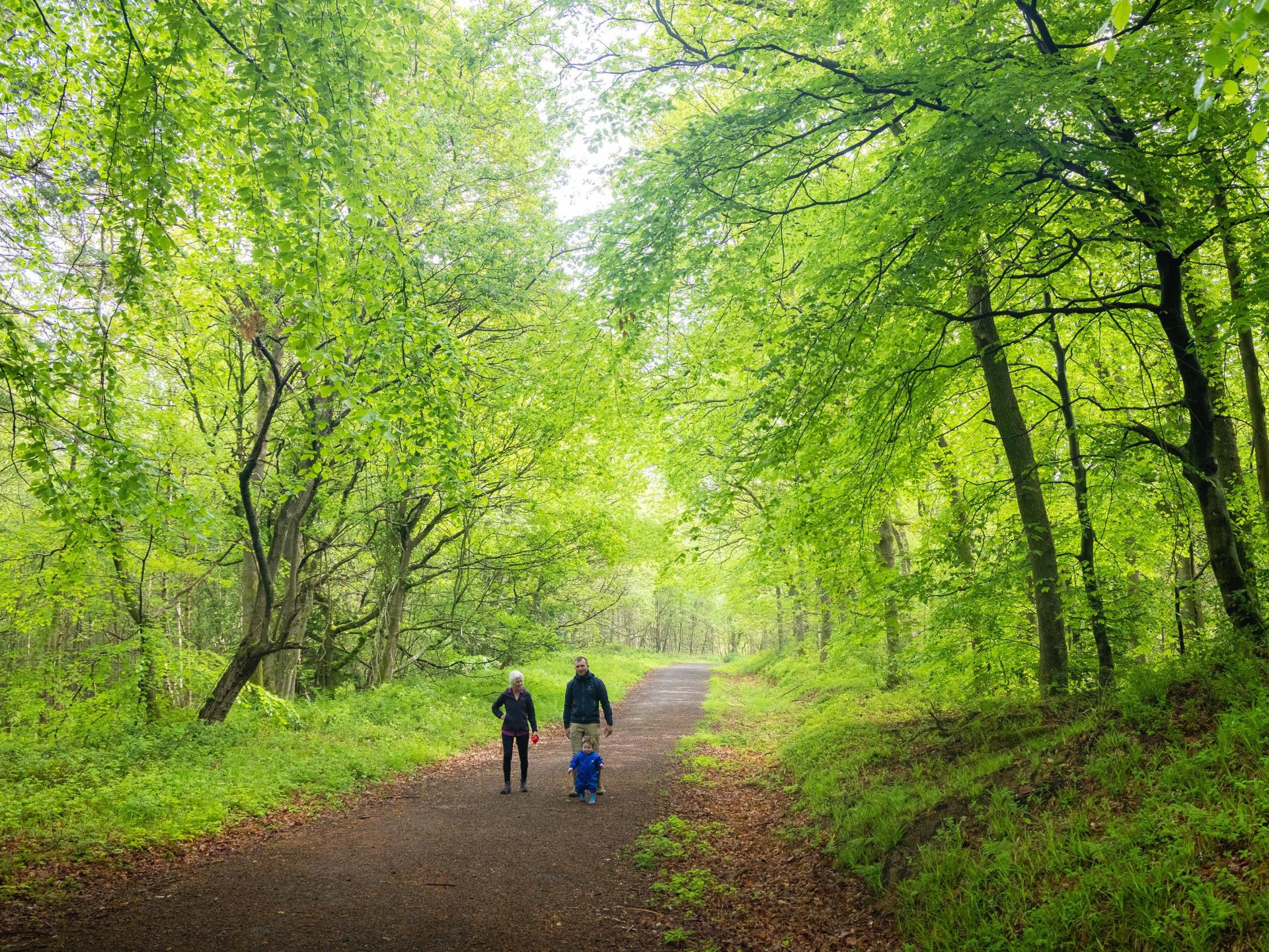 Nash Trail