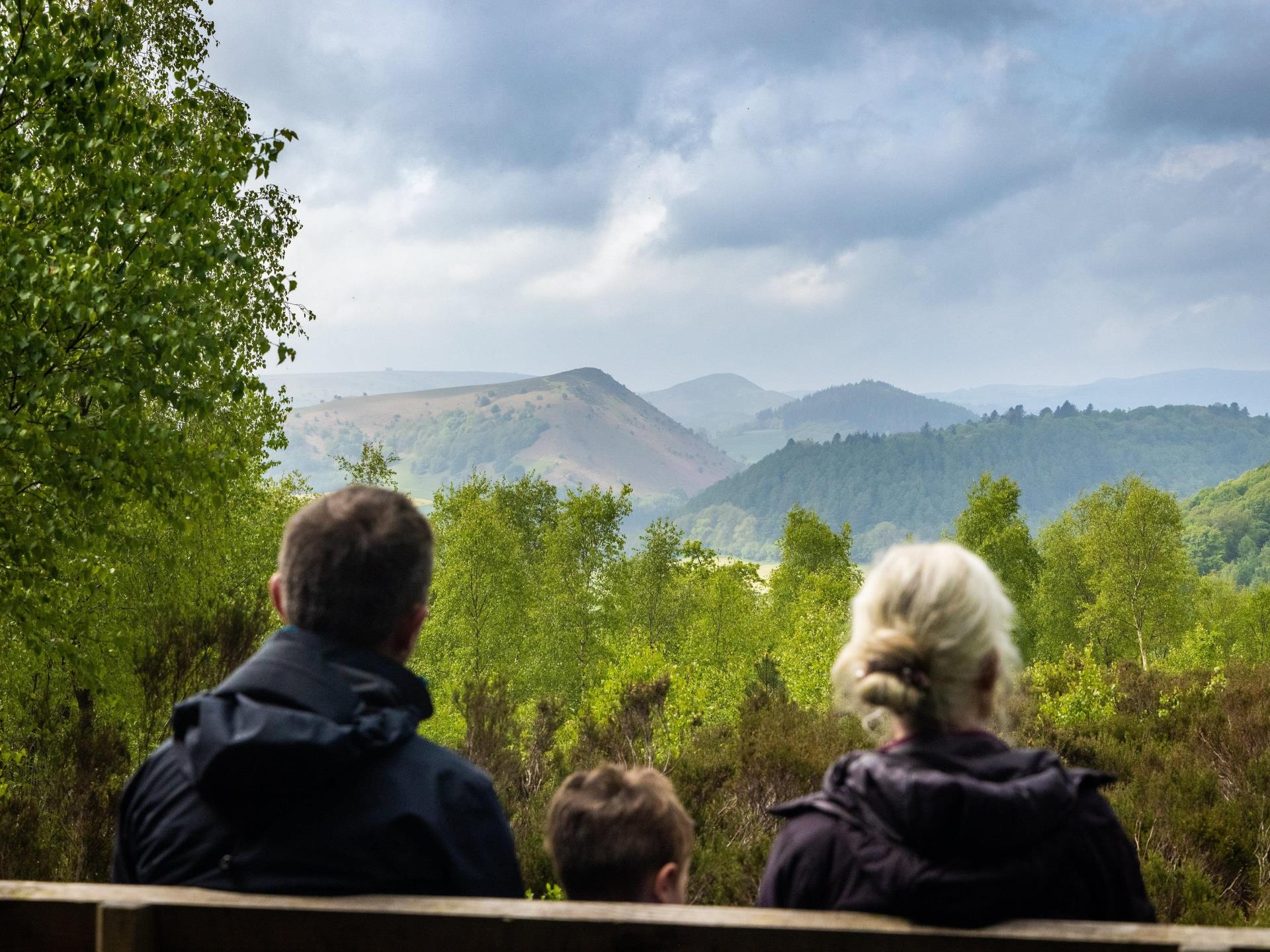 Viewpoint on Nash Trail