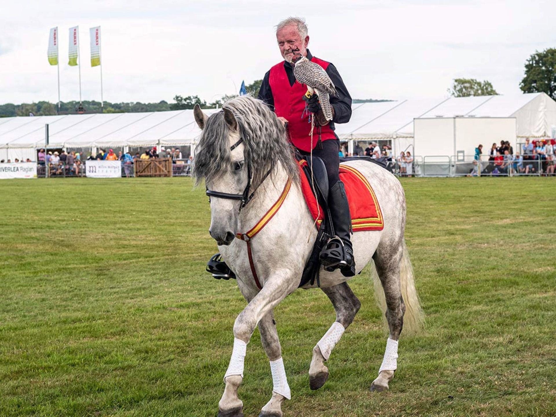 Usk Show Falconry