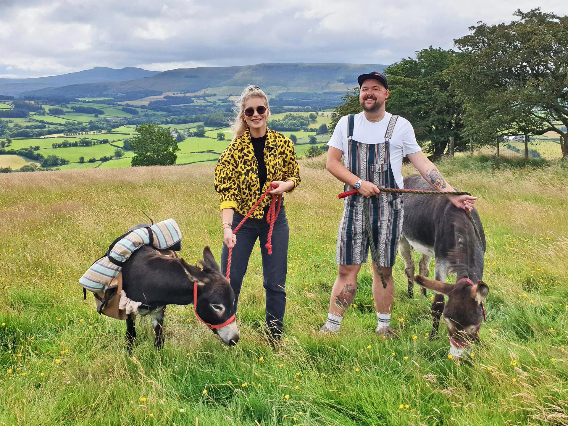 Walking mini donkeys in Wales