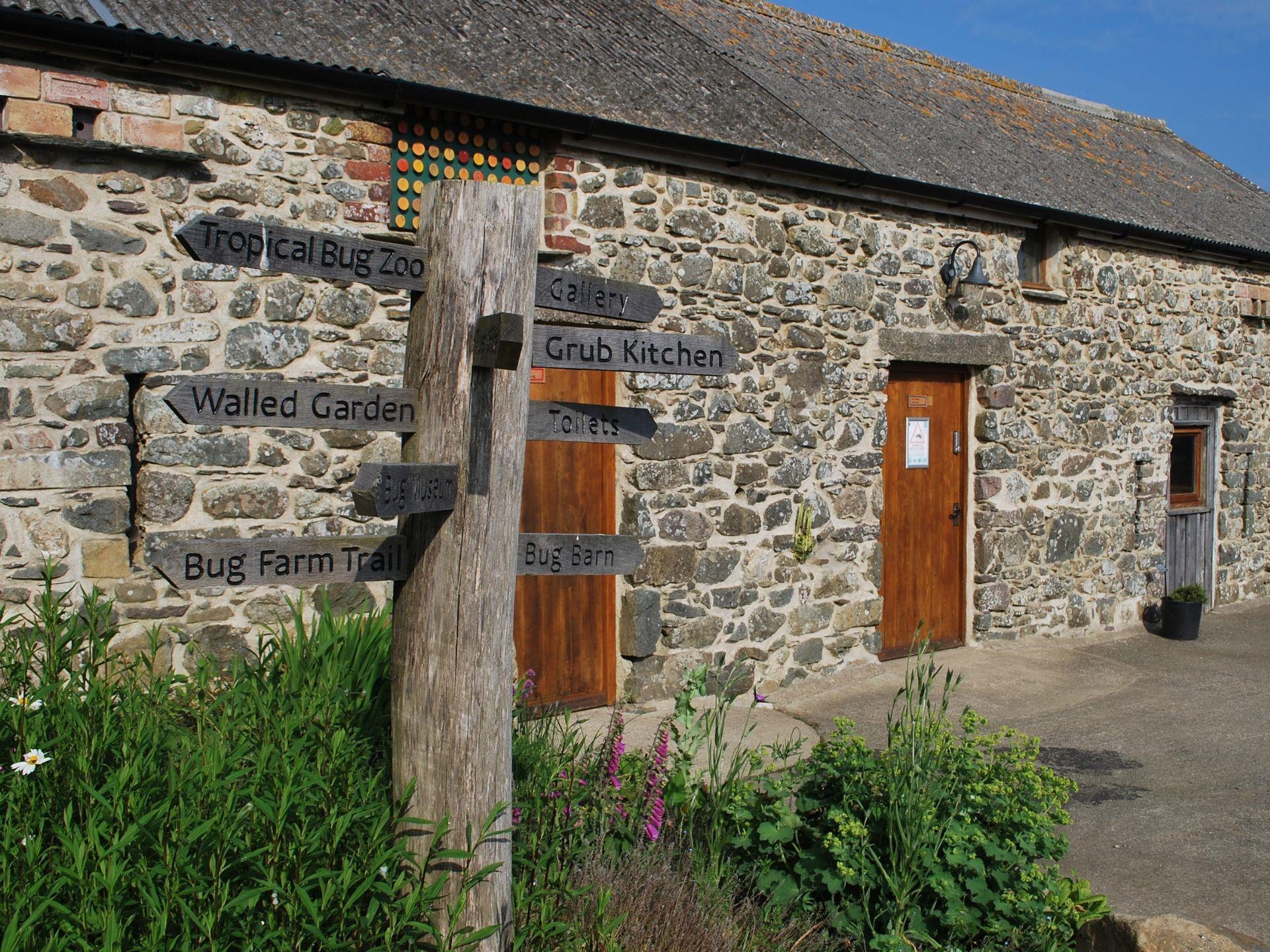 The Bug Farm courtyard